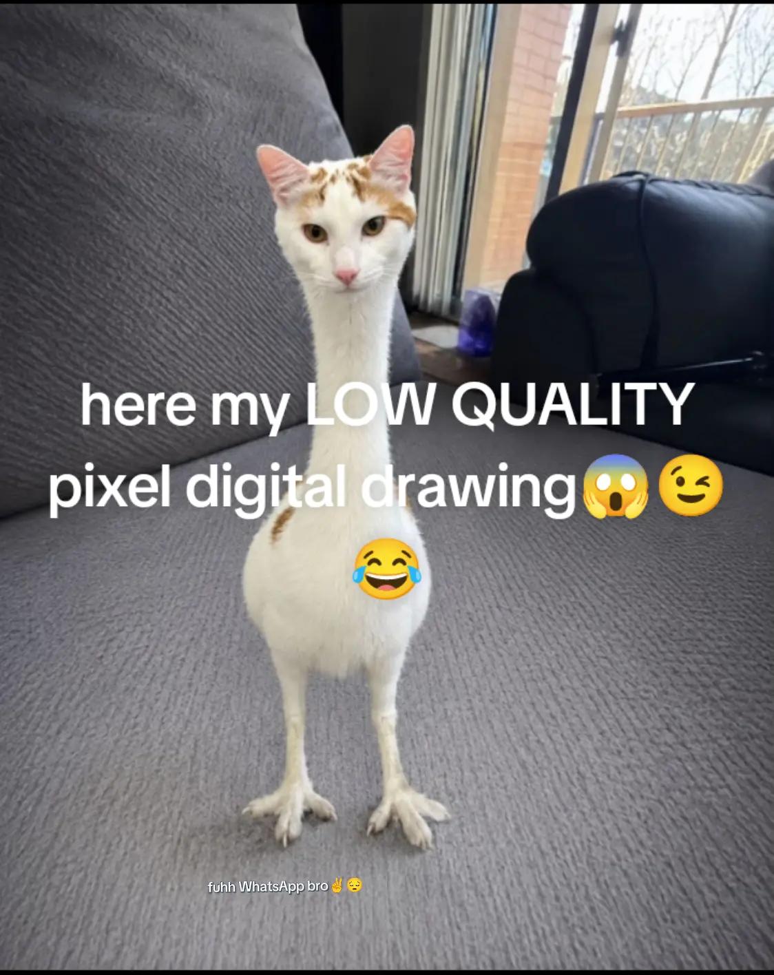 @attis306