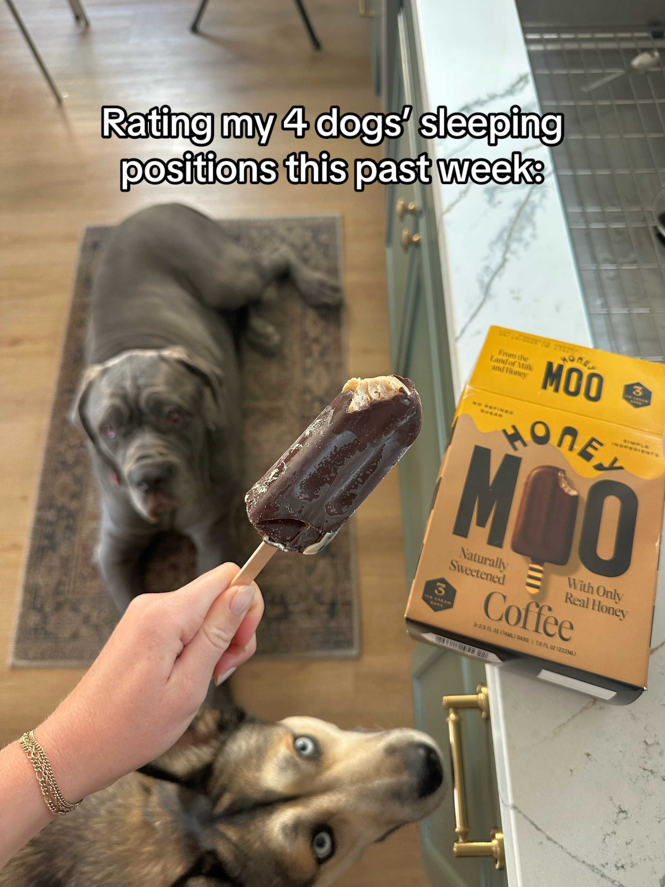 @Taylor + 4 dogs ๐ฉ๐ผ๐ถ๐ถ๐ถ๐ถ