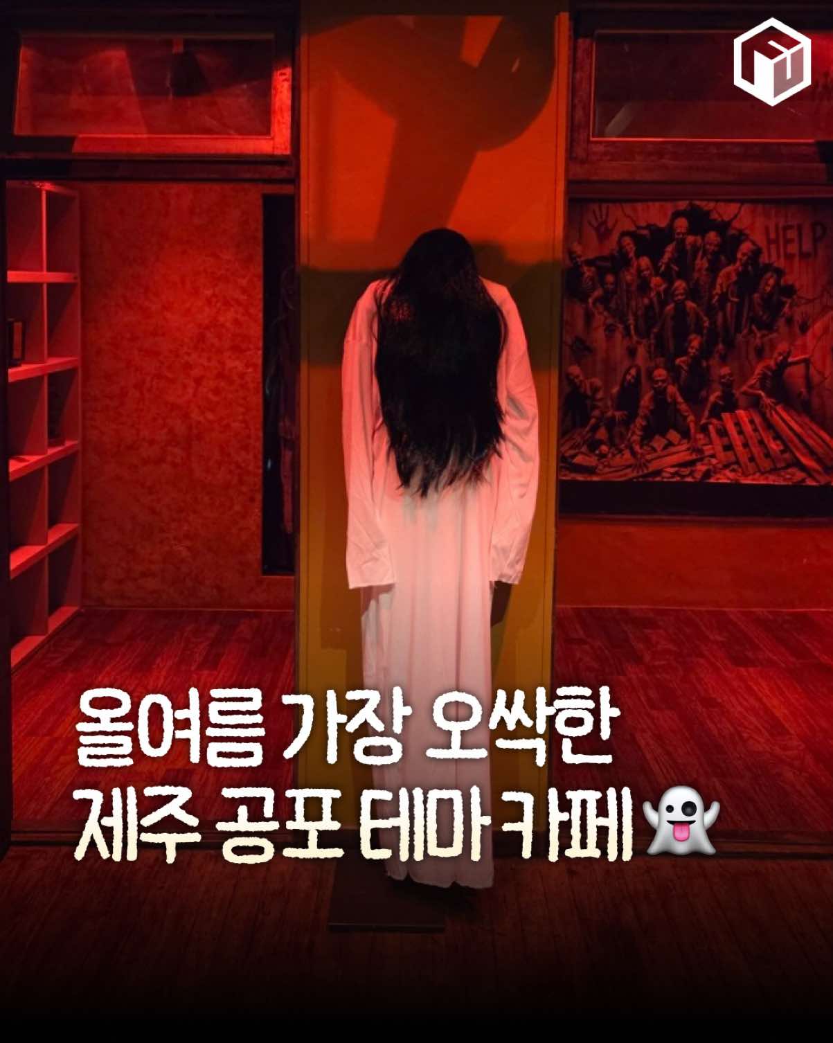 @제주톡톡