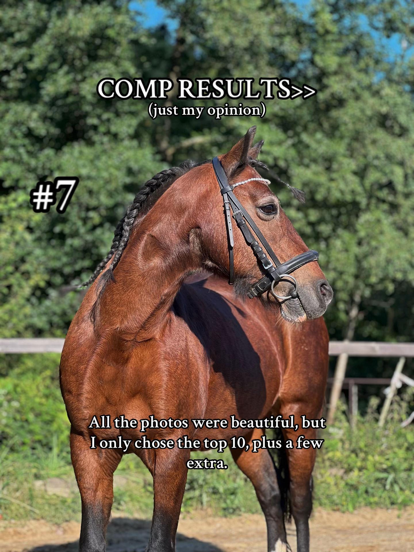 @equestrian._comps