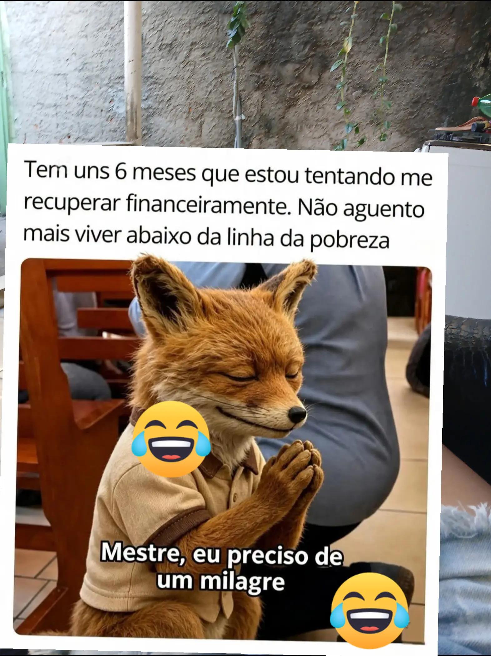 @humor da Célia 🤣