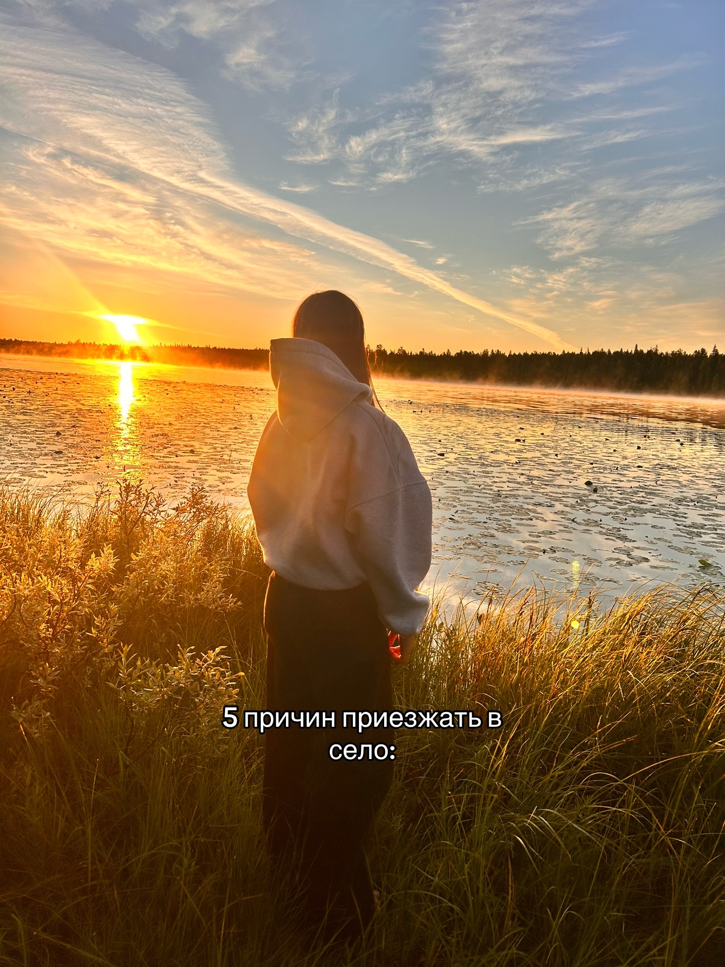 @софико