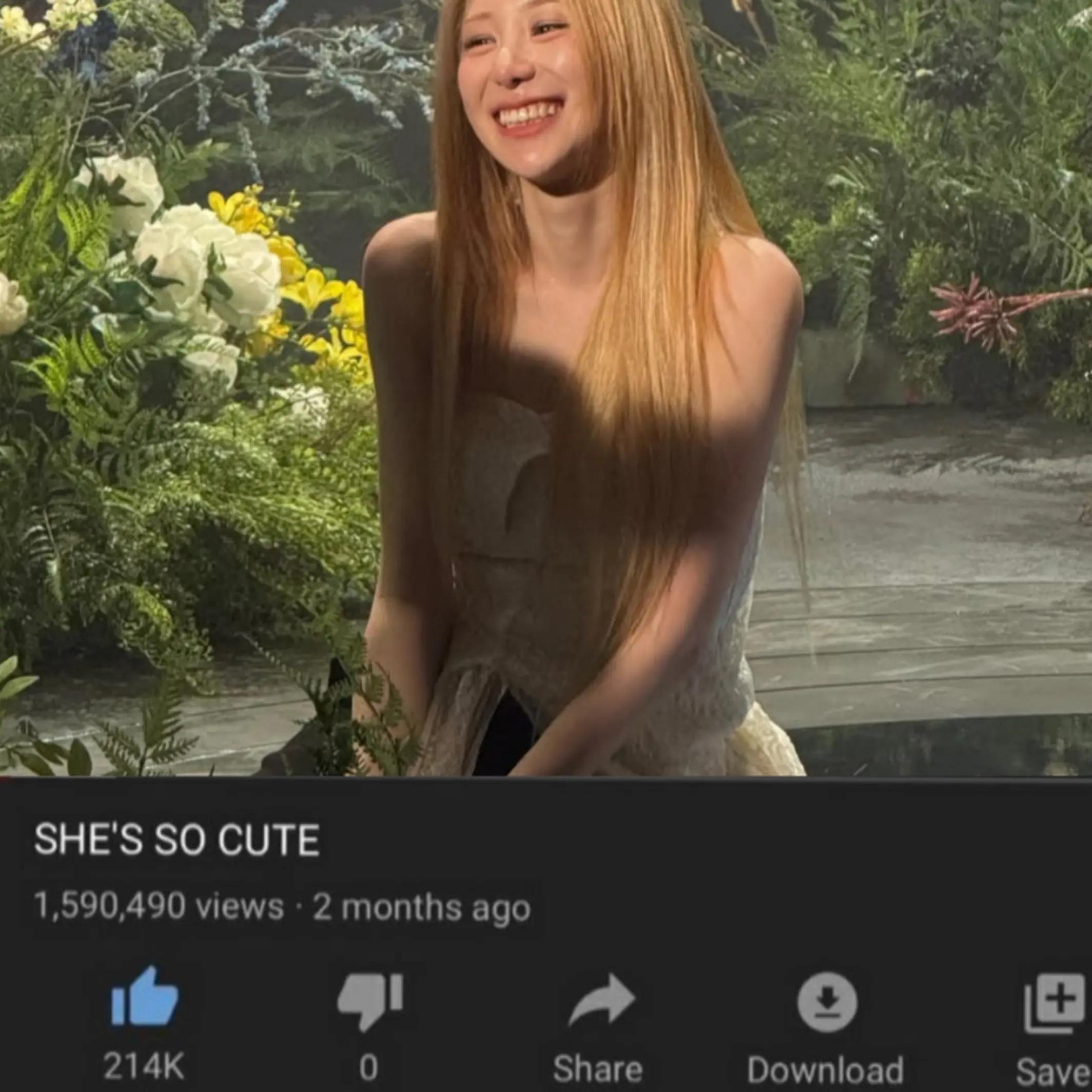 @#1 biggest wizone