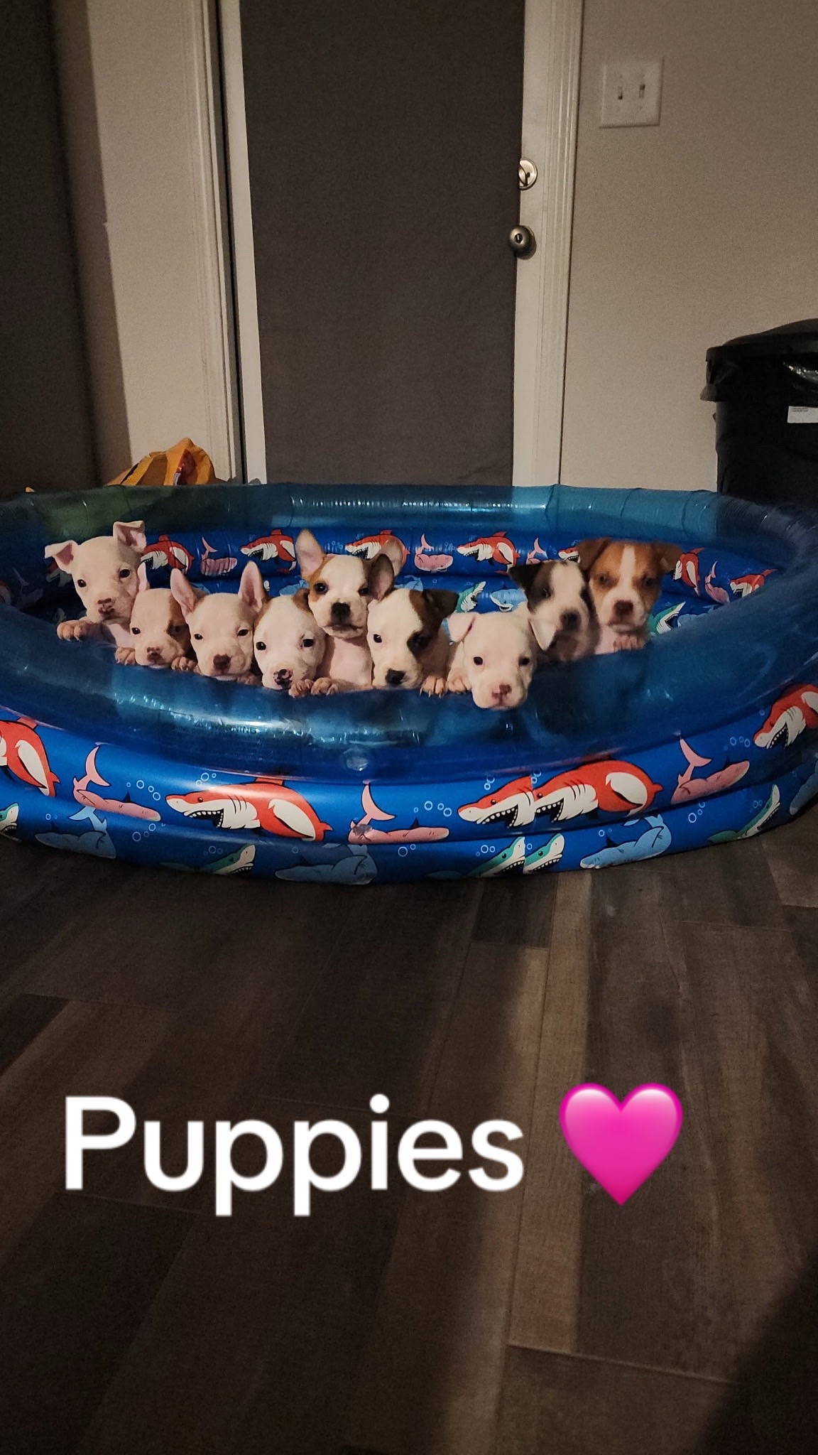 @PinkieLuv&hearts;️