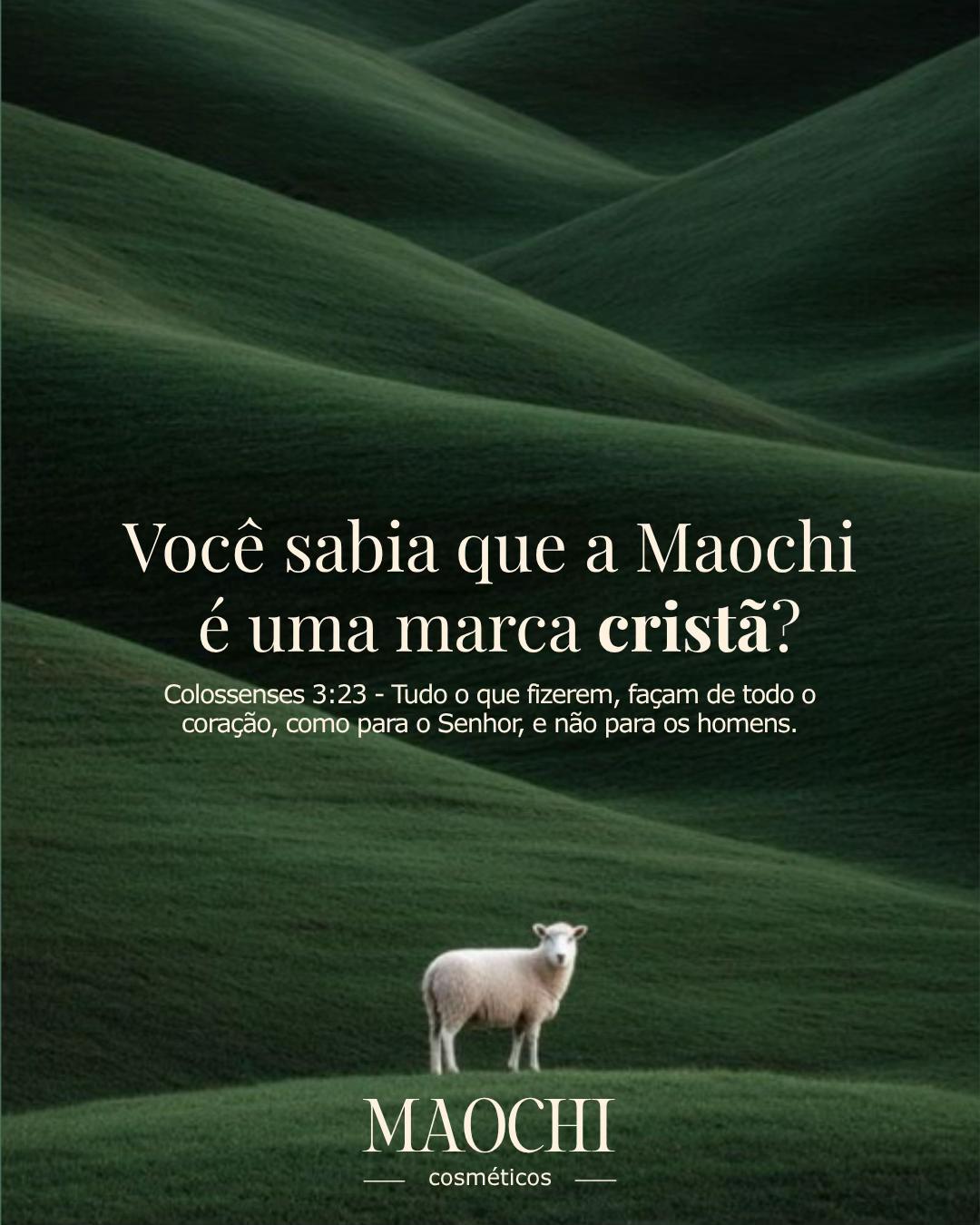 @Maochi