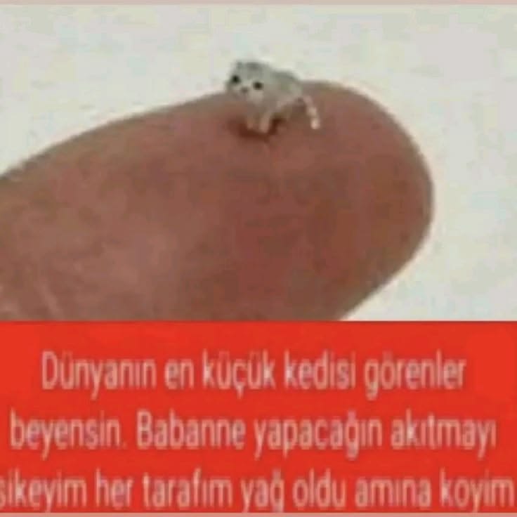 @poser_baskani4