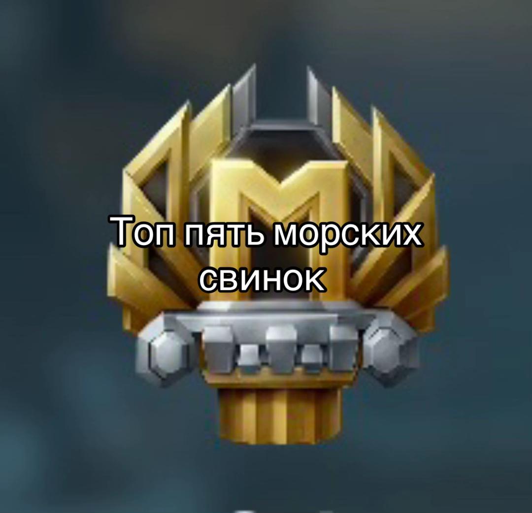 @Solo Tankist 🍋✅
