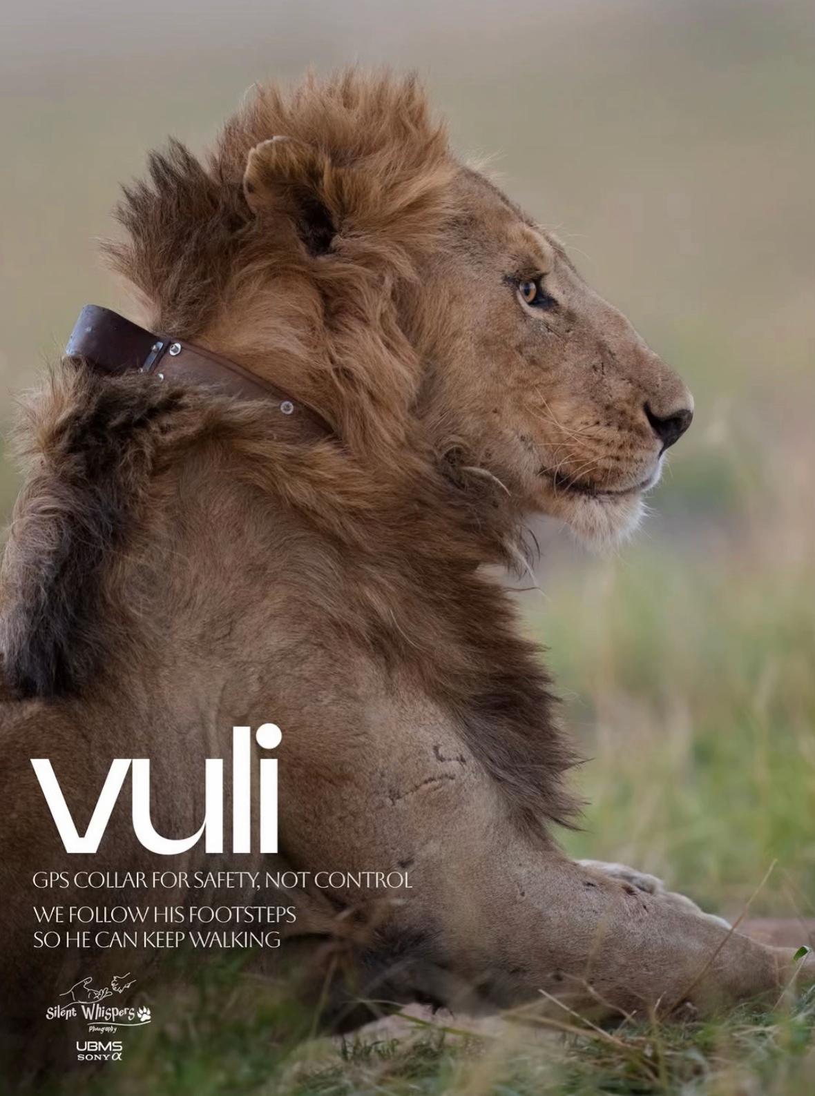 @𝓝 𝓪 𝓲 【Lion Expert】