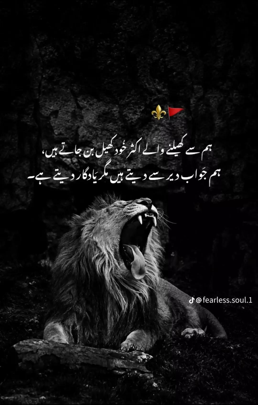 @Rana Shahzaib