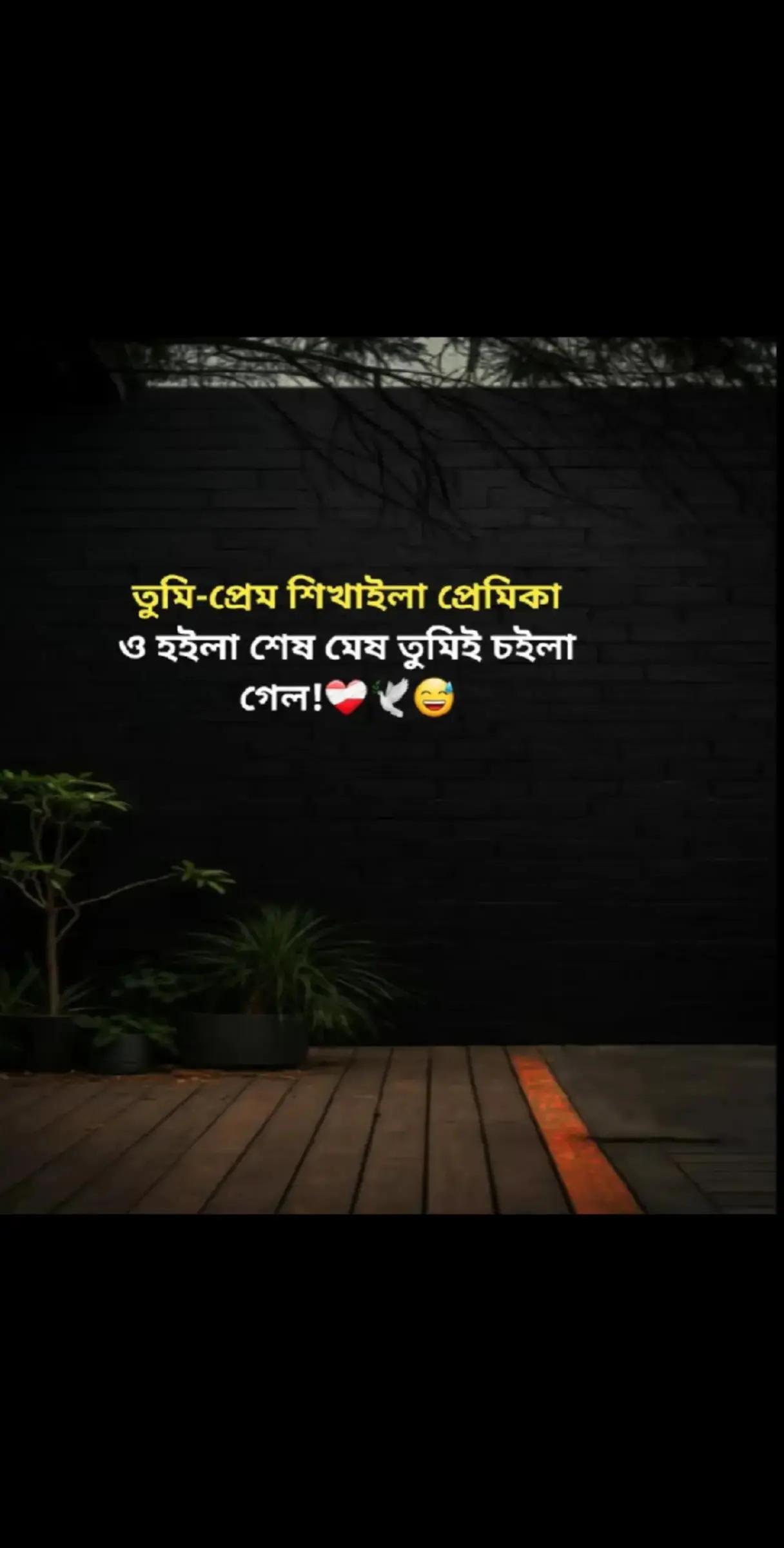 @ZAHIDUL HASAN🇧🇩❤️🇸🇦
