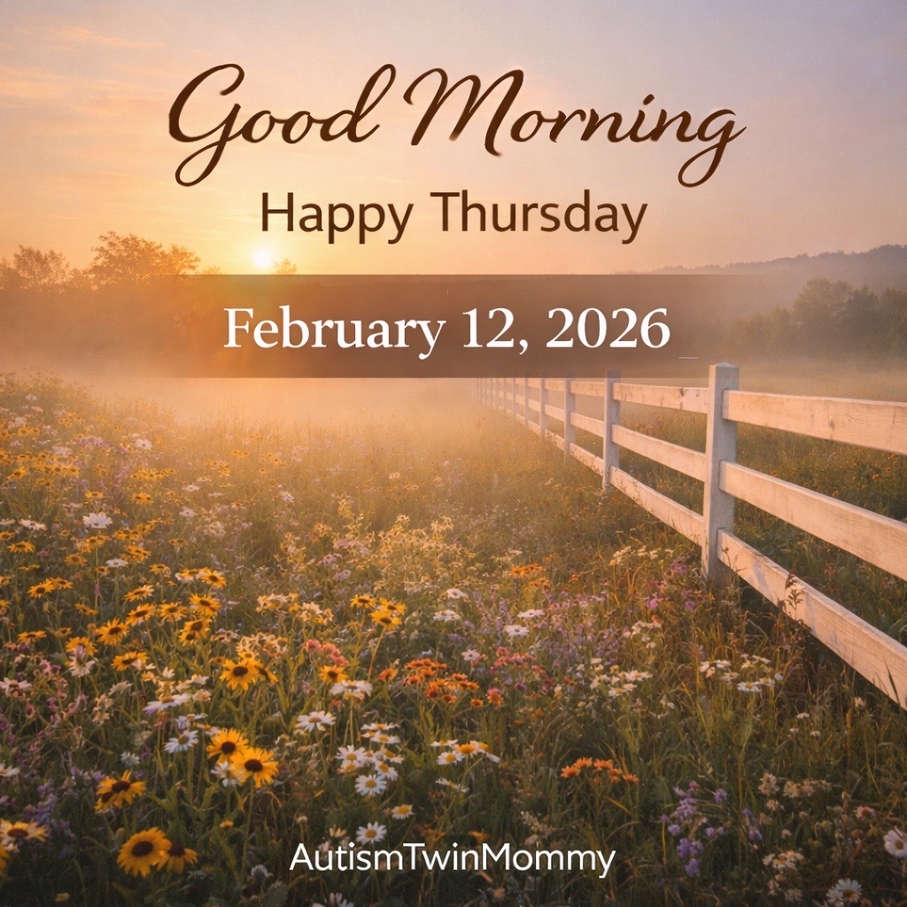 @AutismTwinMommy