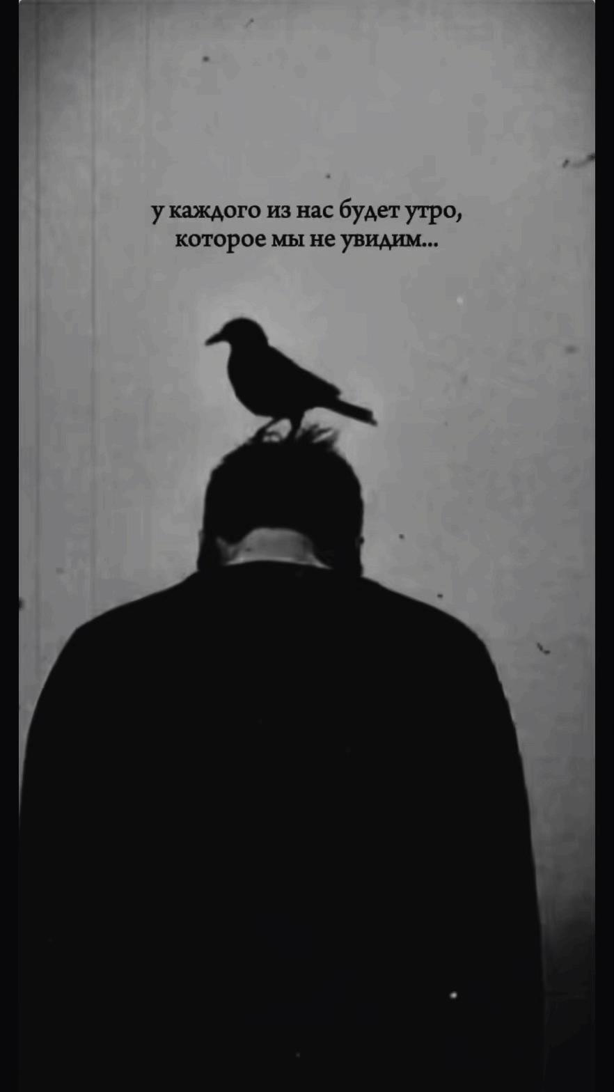 @𝓢𝓮𝓿