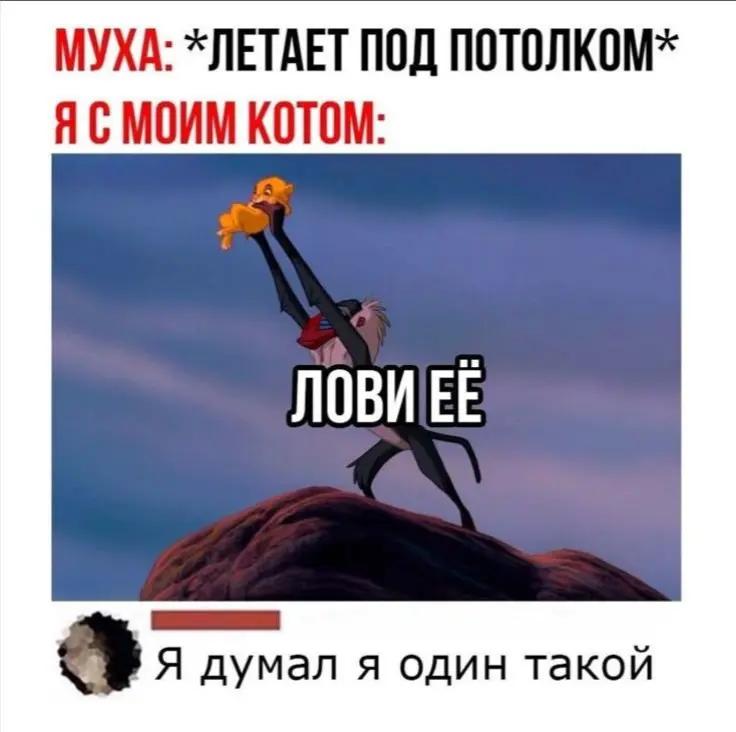 @(づ｡◕‿‿◕｡)づ