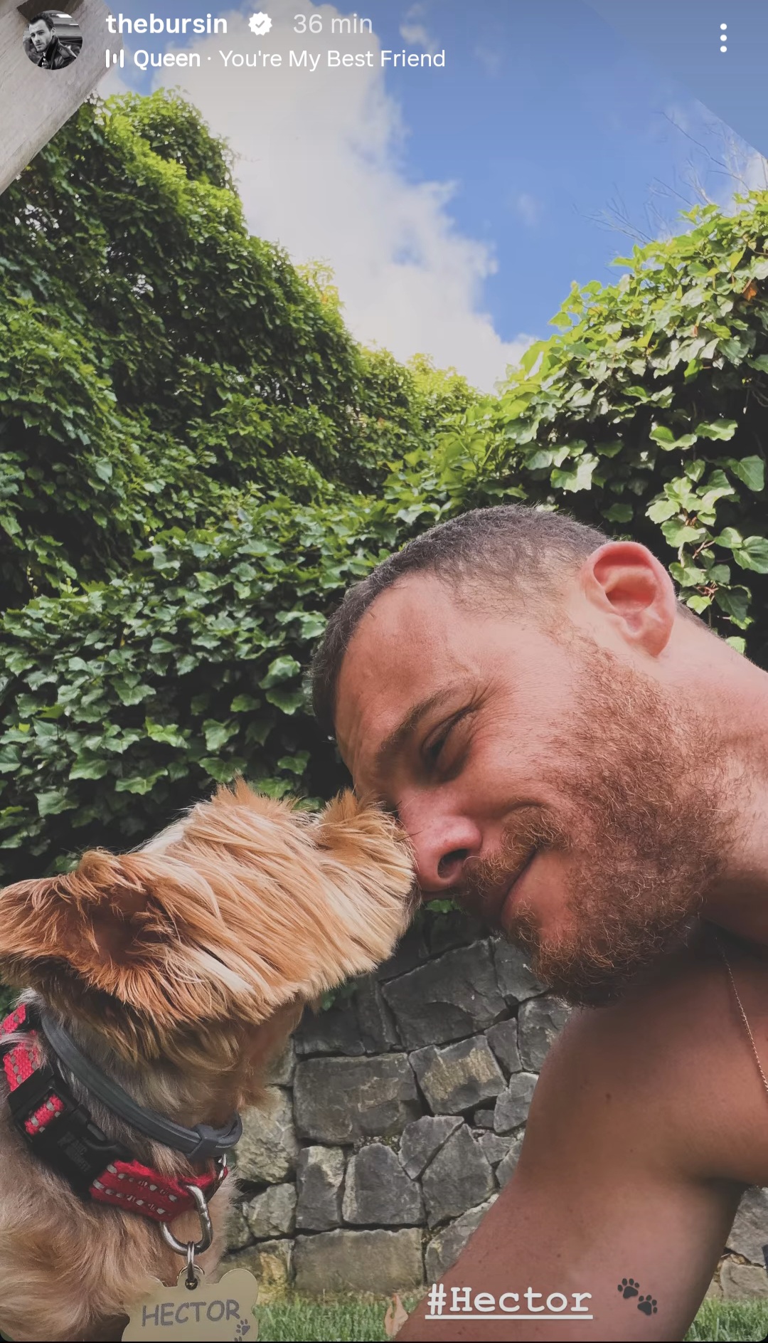 @Kerembursin ( f&atilde;) 🦁❤️