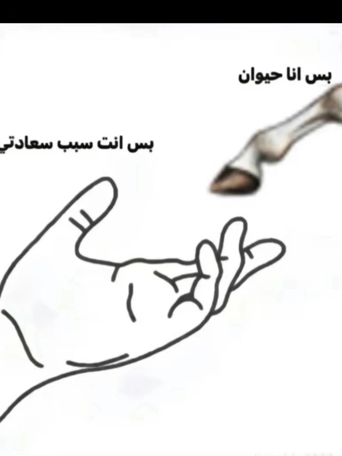 @Morad_Almanaseer