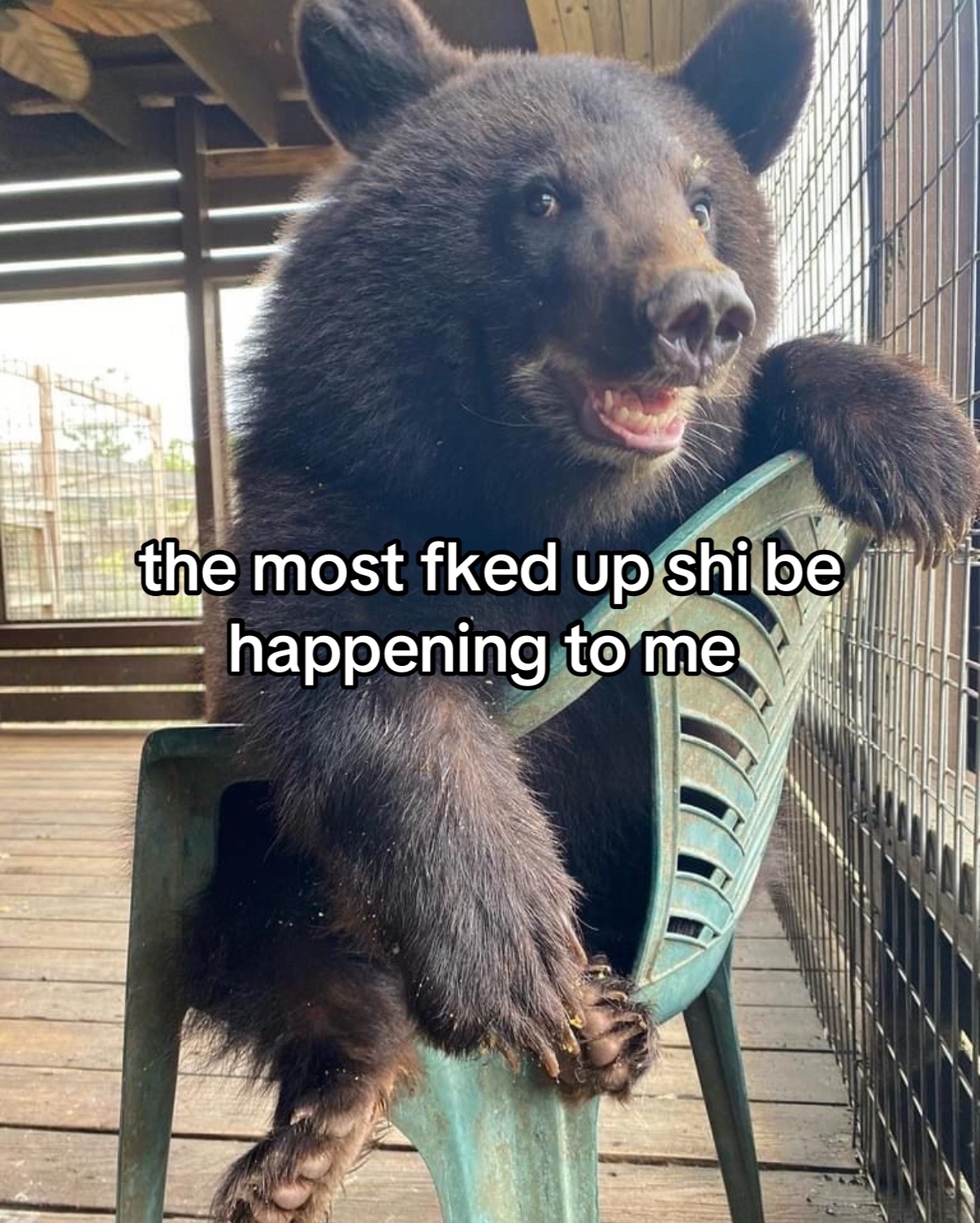 @🦭