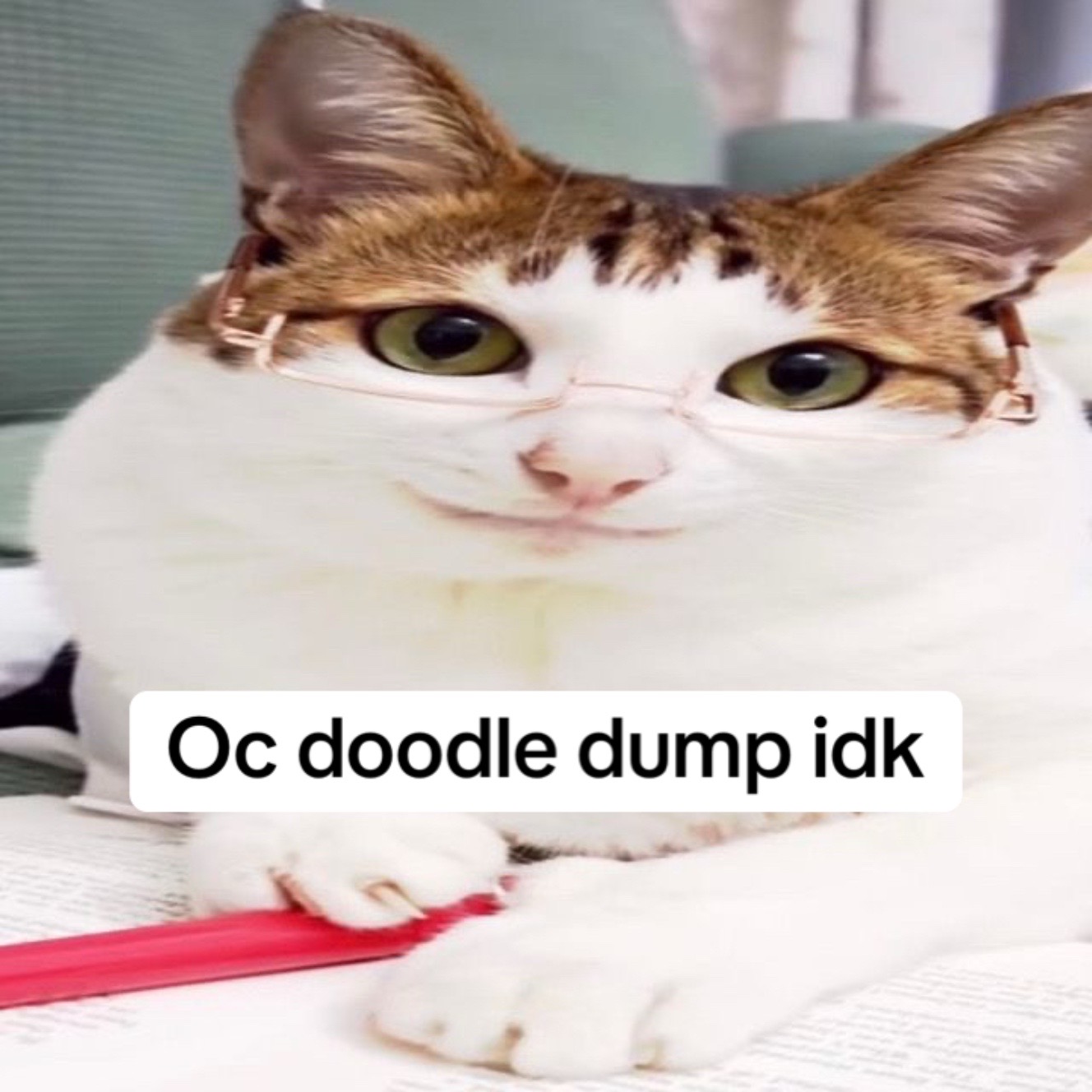@Cece (ᴗ˳ᴗ)ᶻ𝗓𐰁