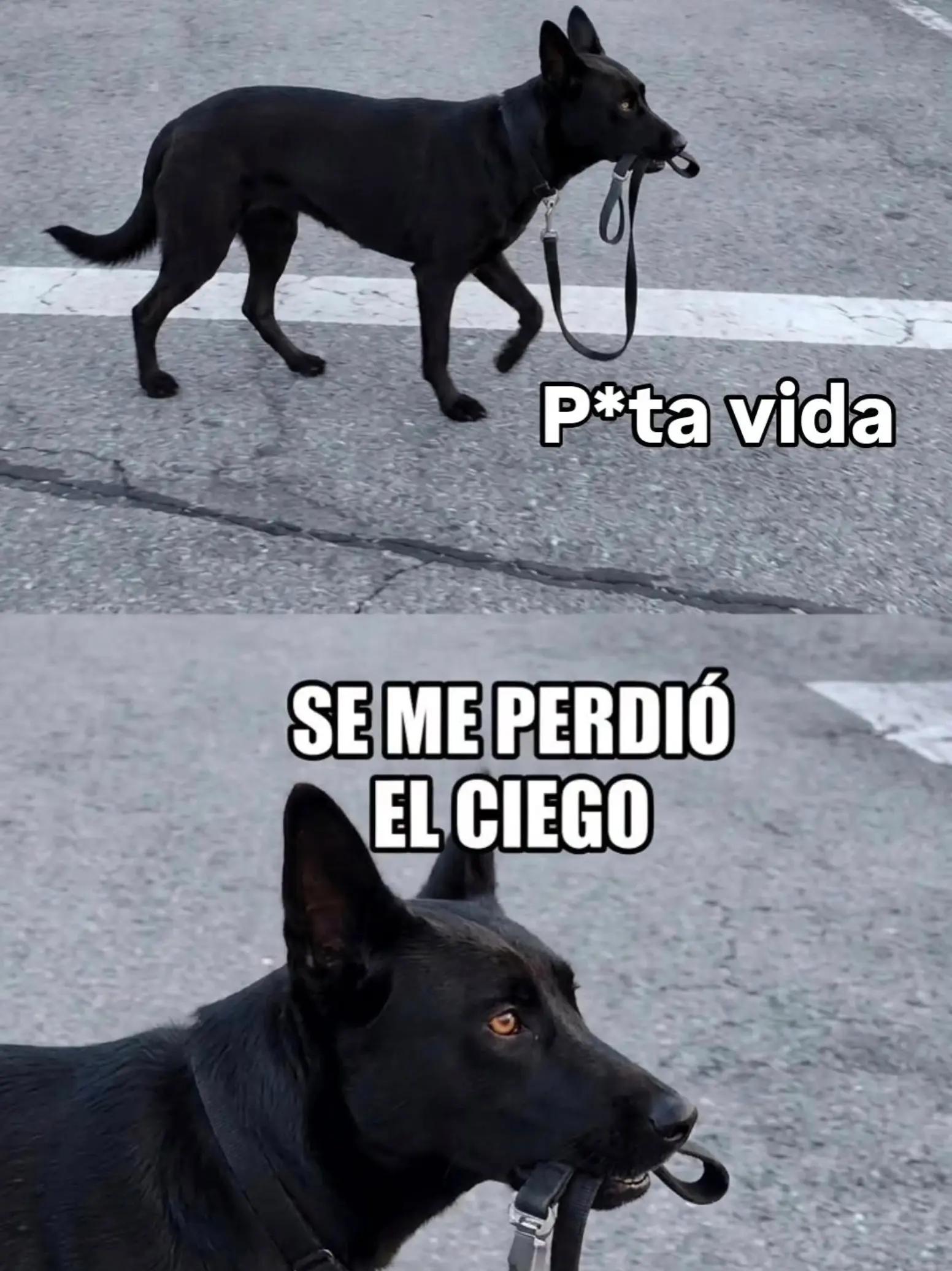 @Roger