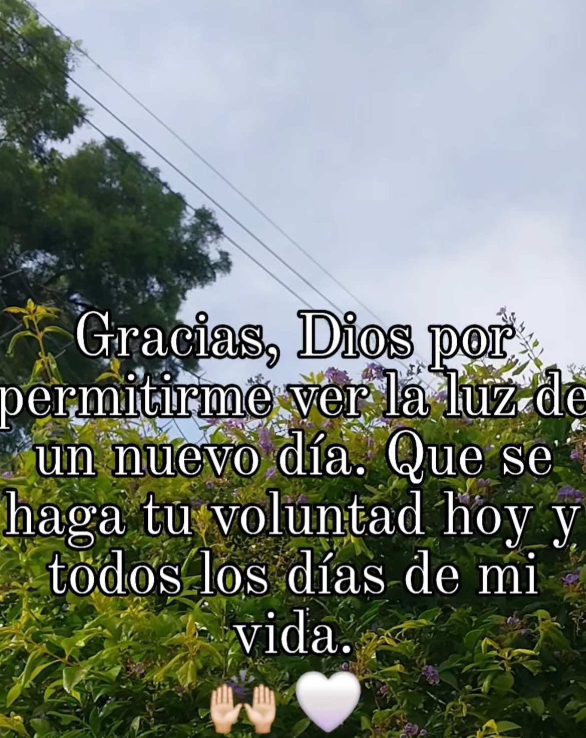 @Maria Romano