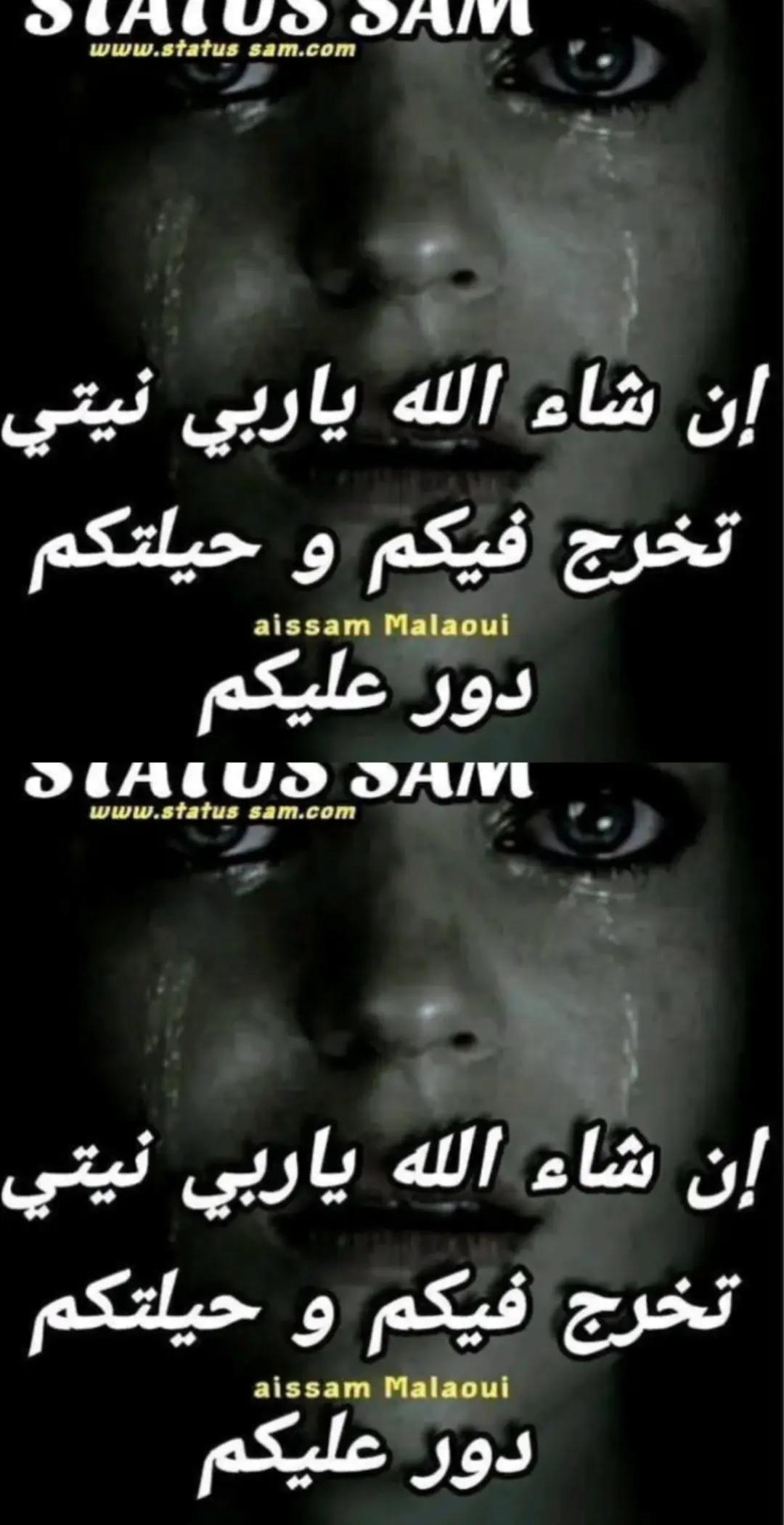 @Chahra Mqalcha