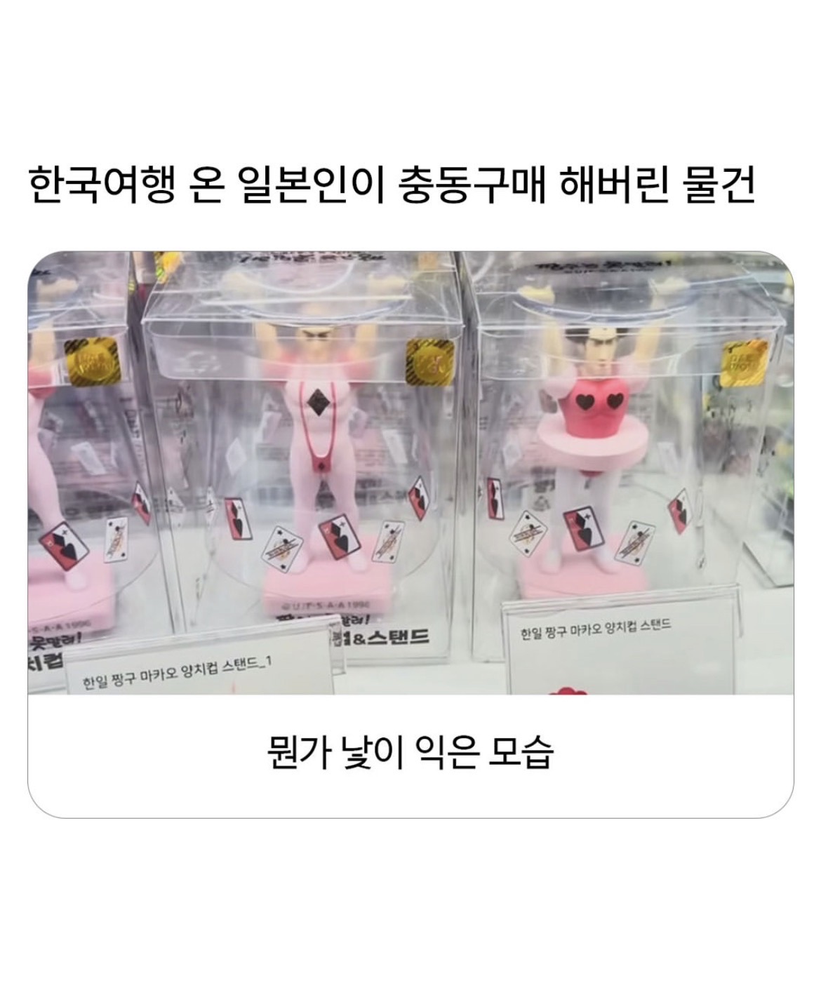 @로이젤