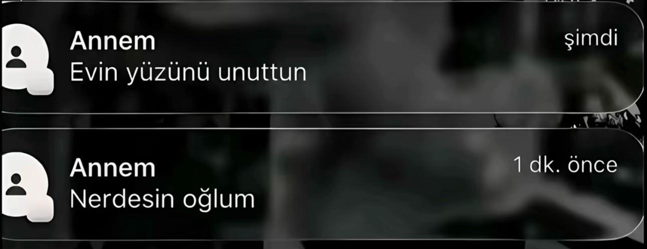 @Bahadır Söğüt