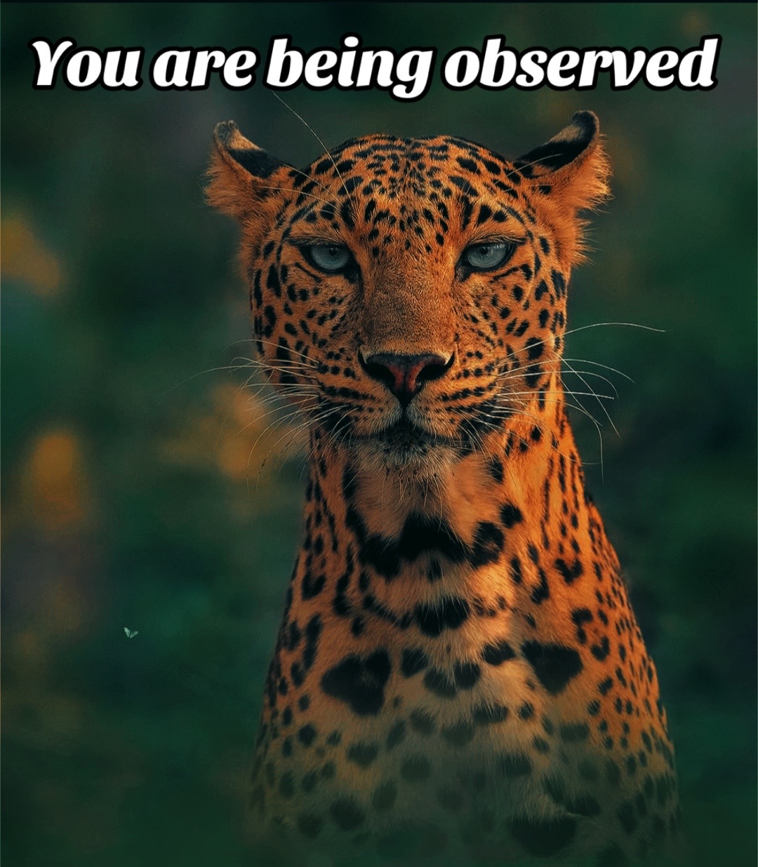 @TheDivineSpace