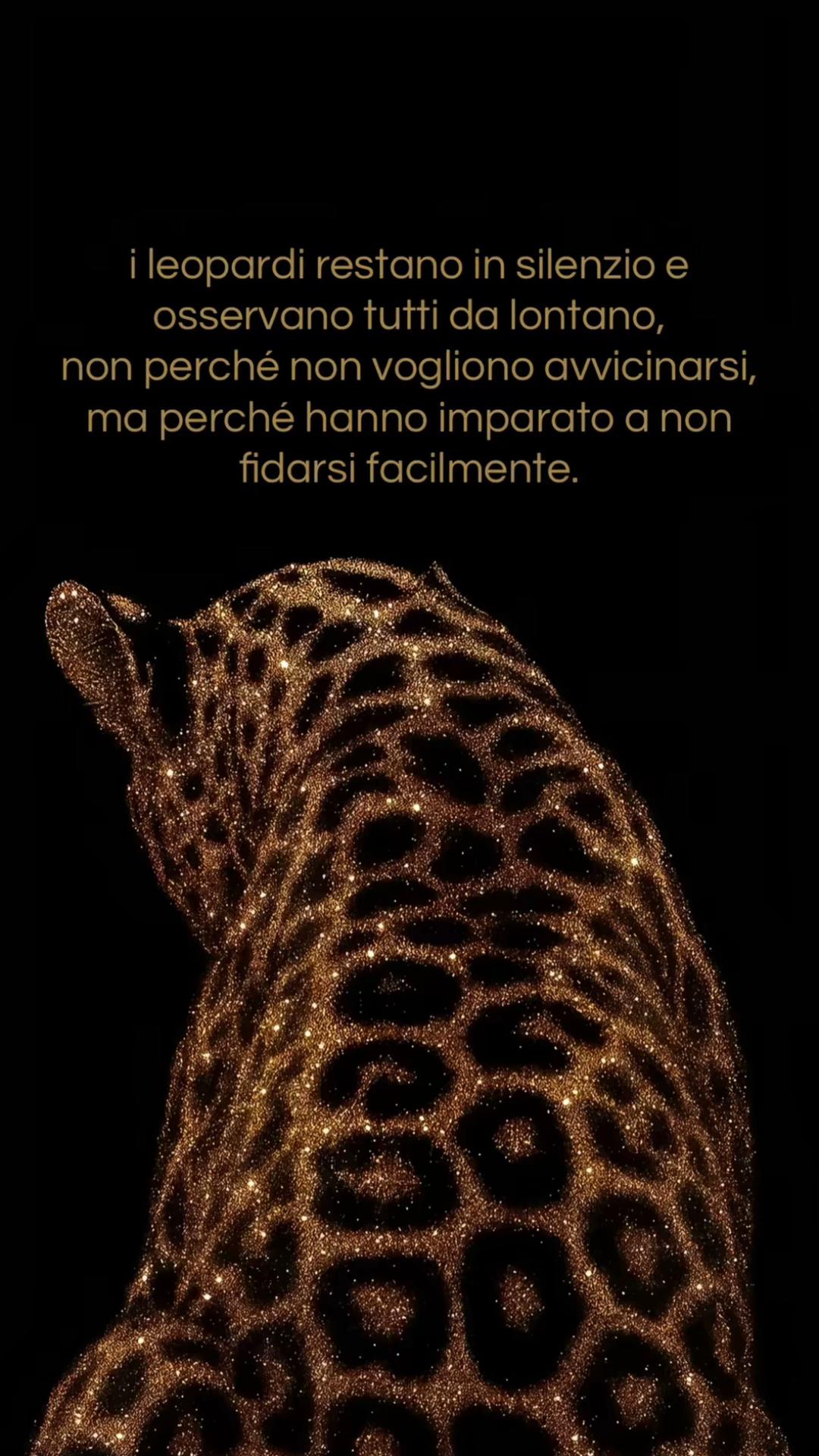 @🎀Cicia🎀