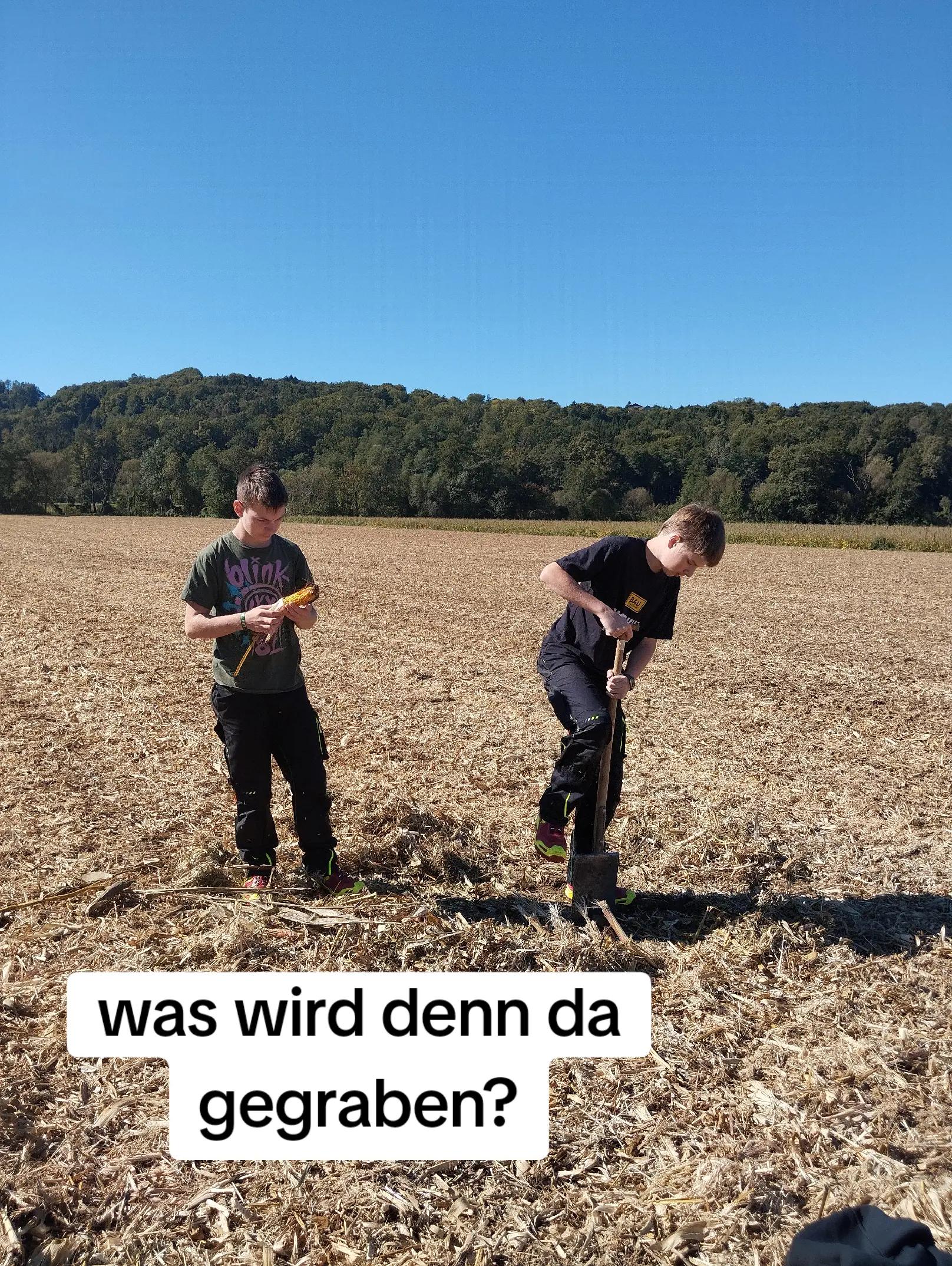 @LFS Hatzendorf