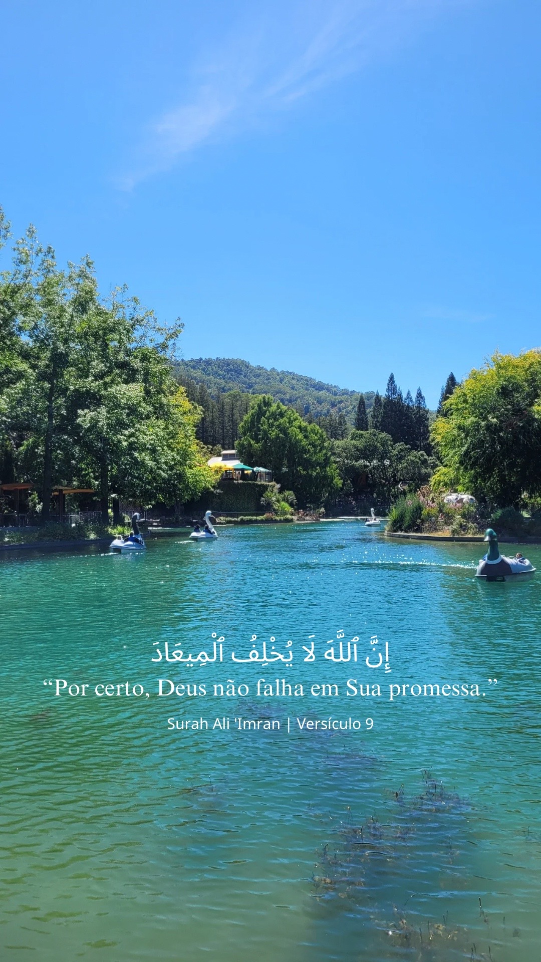 @brazilian revert 🇧🇷☪️✨🤲🏽