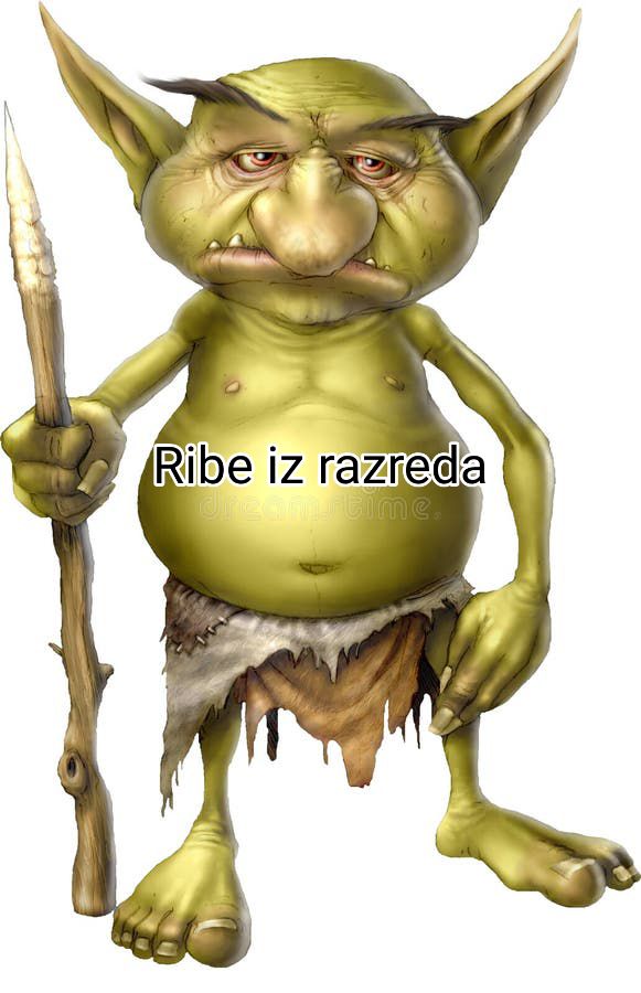 @Nidaloni🧊
