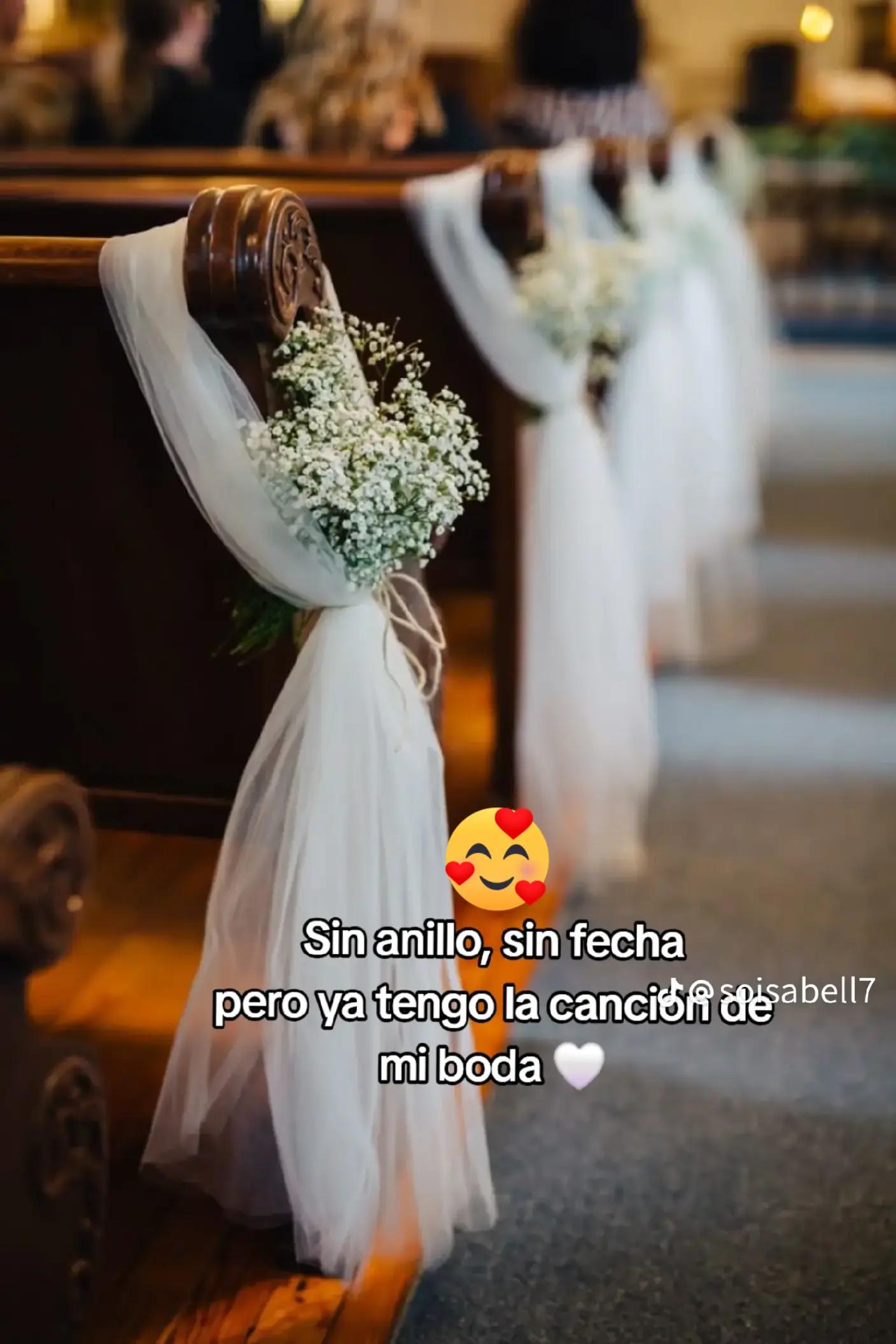 @mayreligalvez