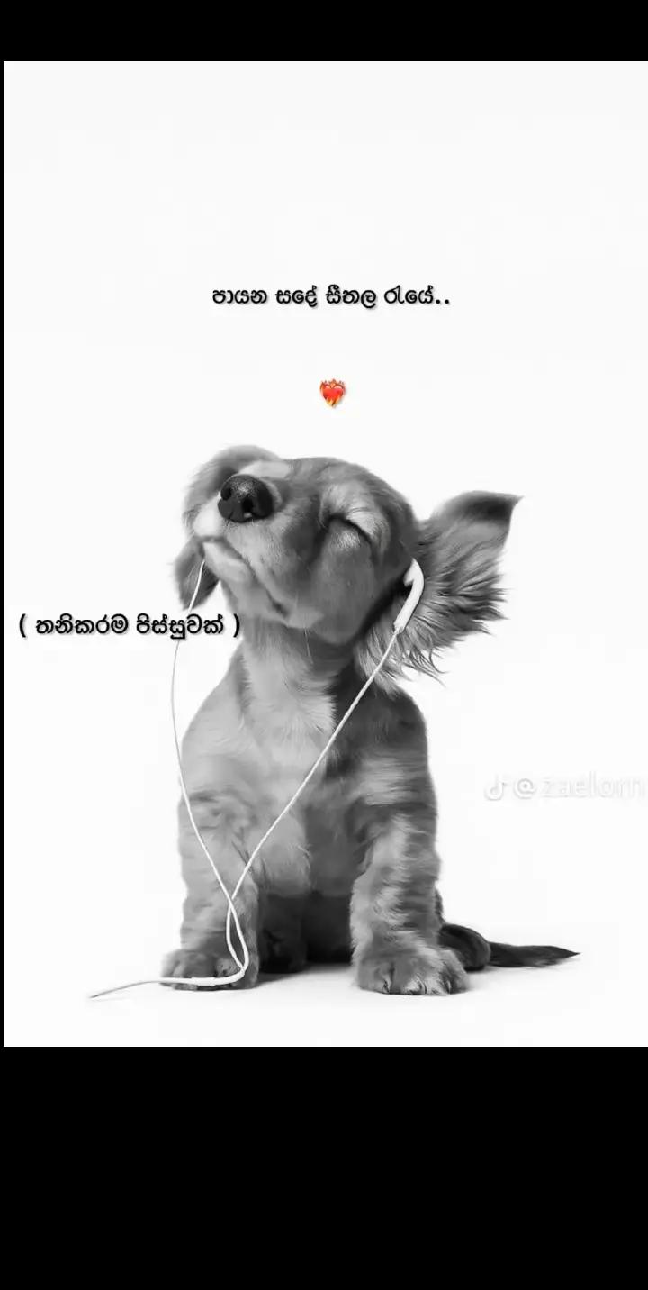 @Oshani | ඔෂානි | ஒஷானி ❤️💎
