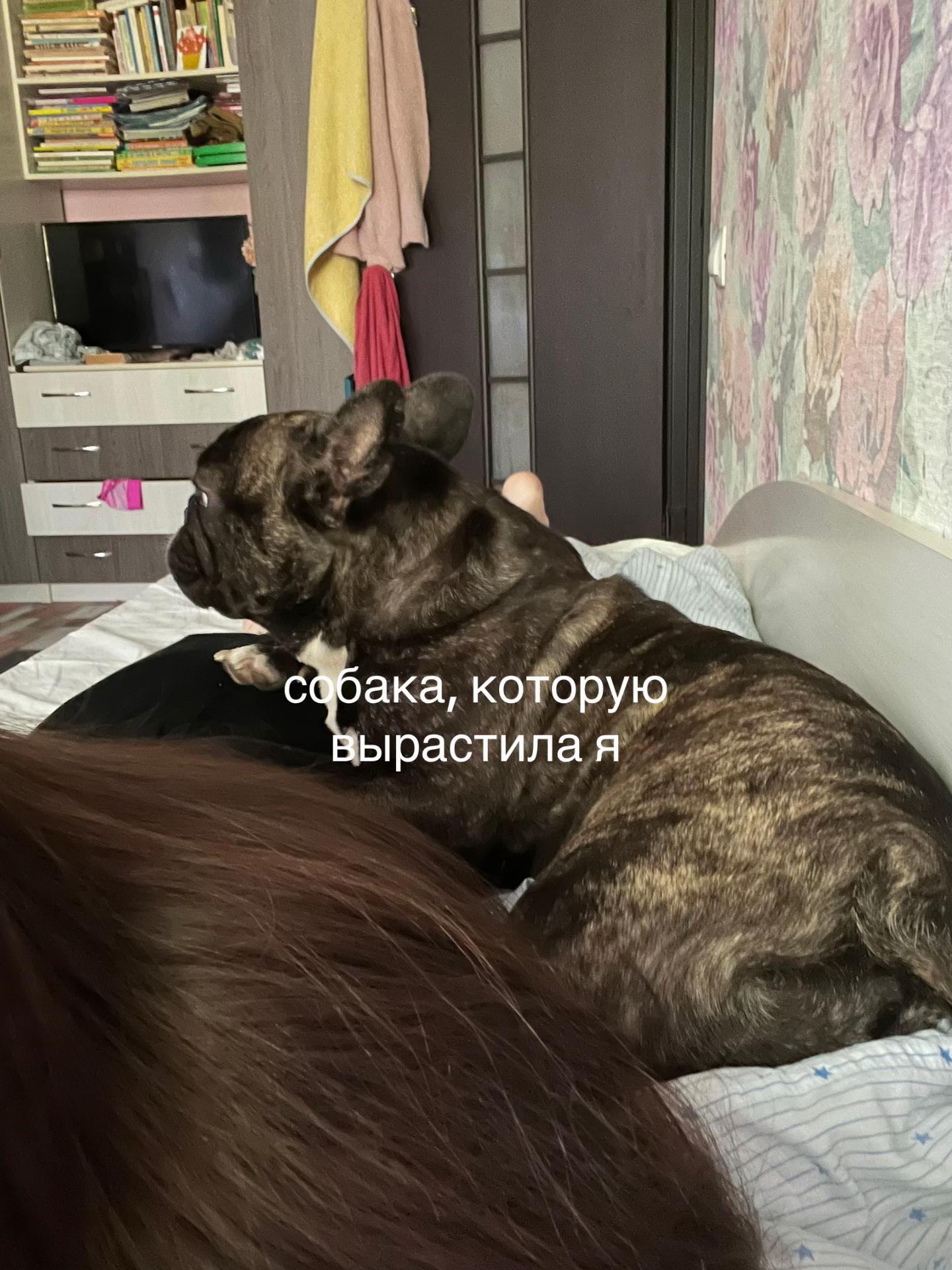 @варька