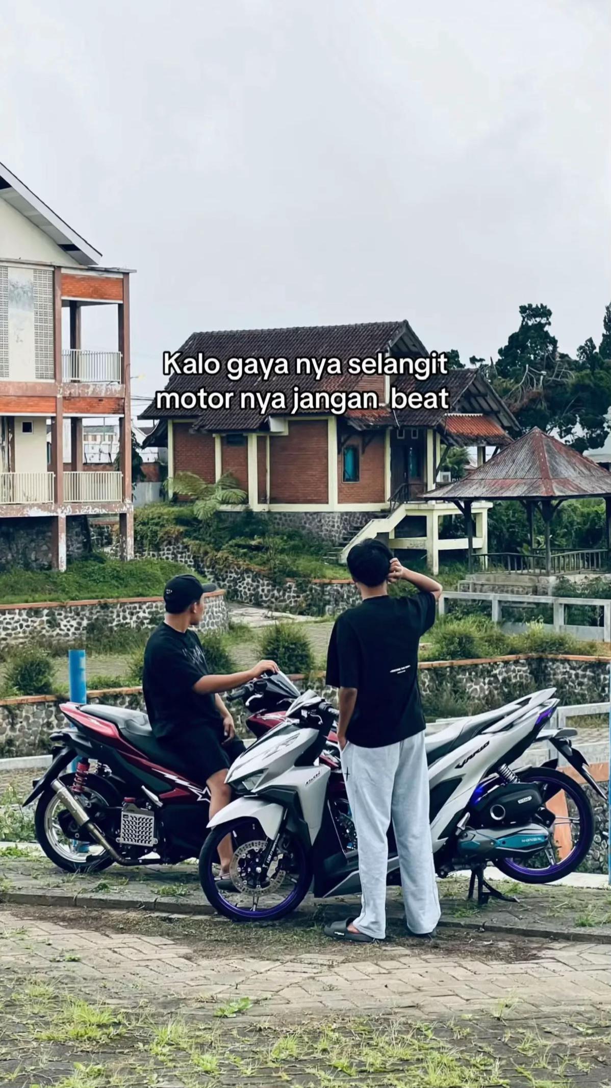 @auladi arsan