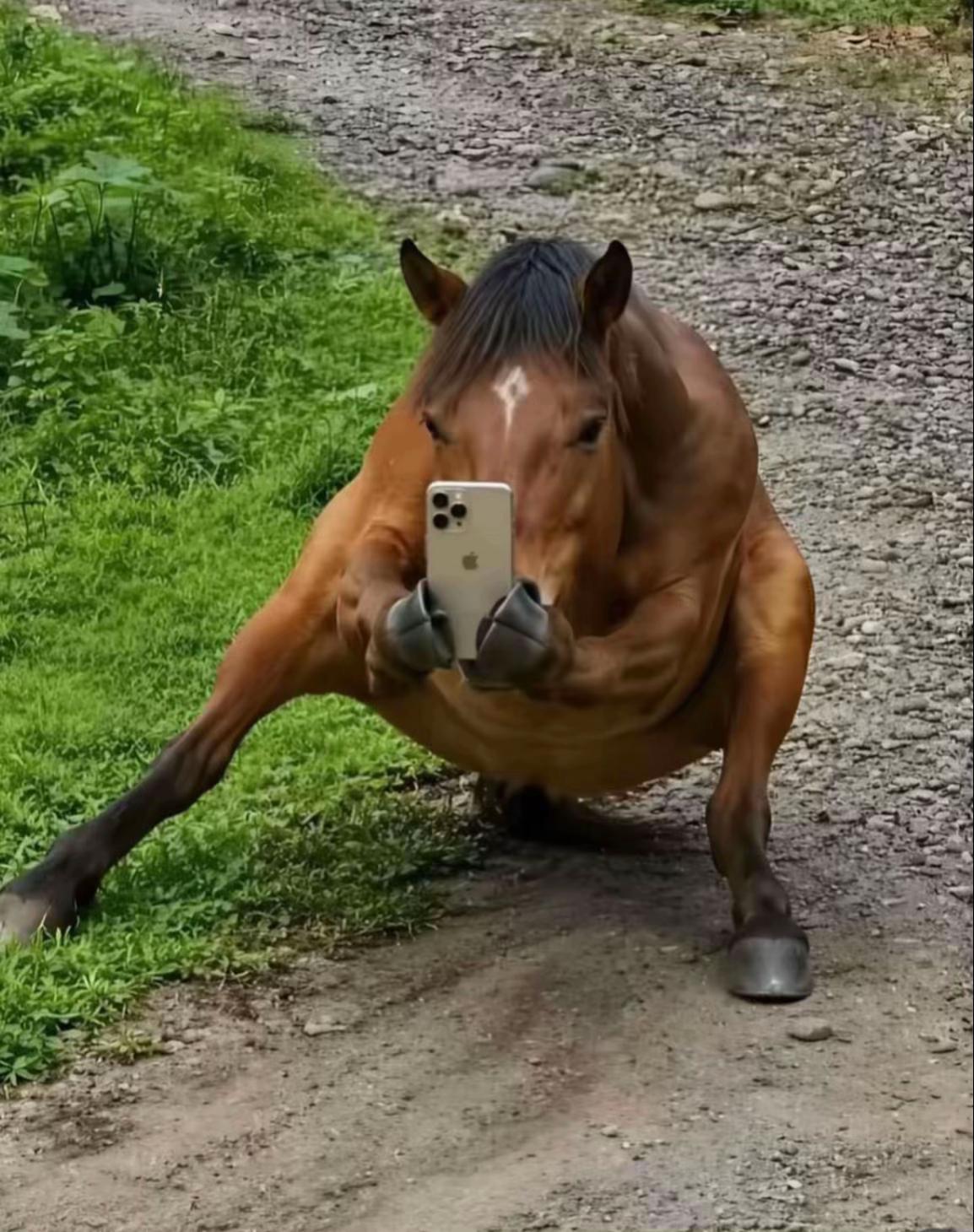 @_greasemedia876