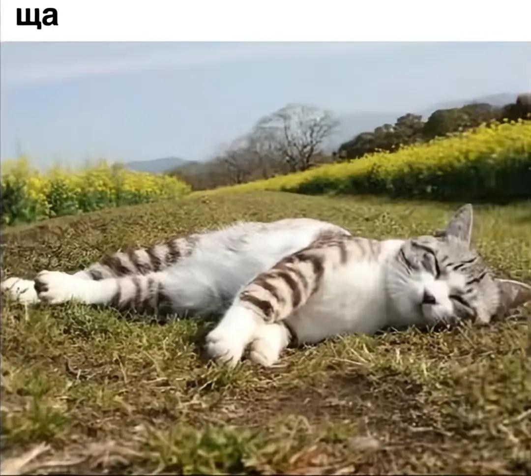 @егор йогор
