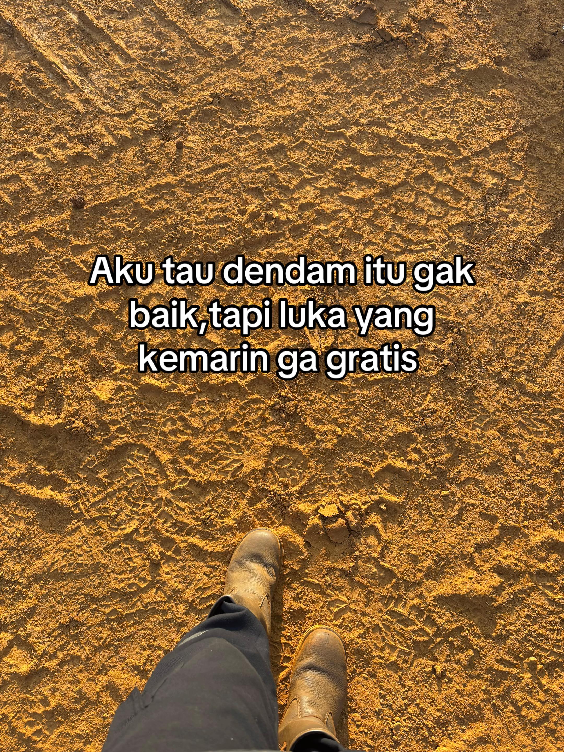 @Wardhynhy