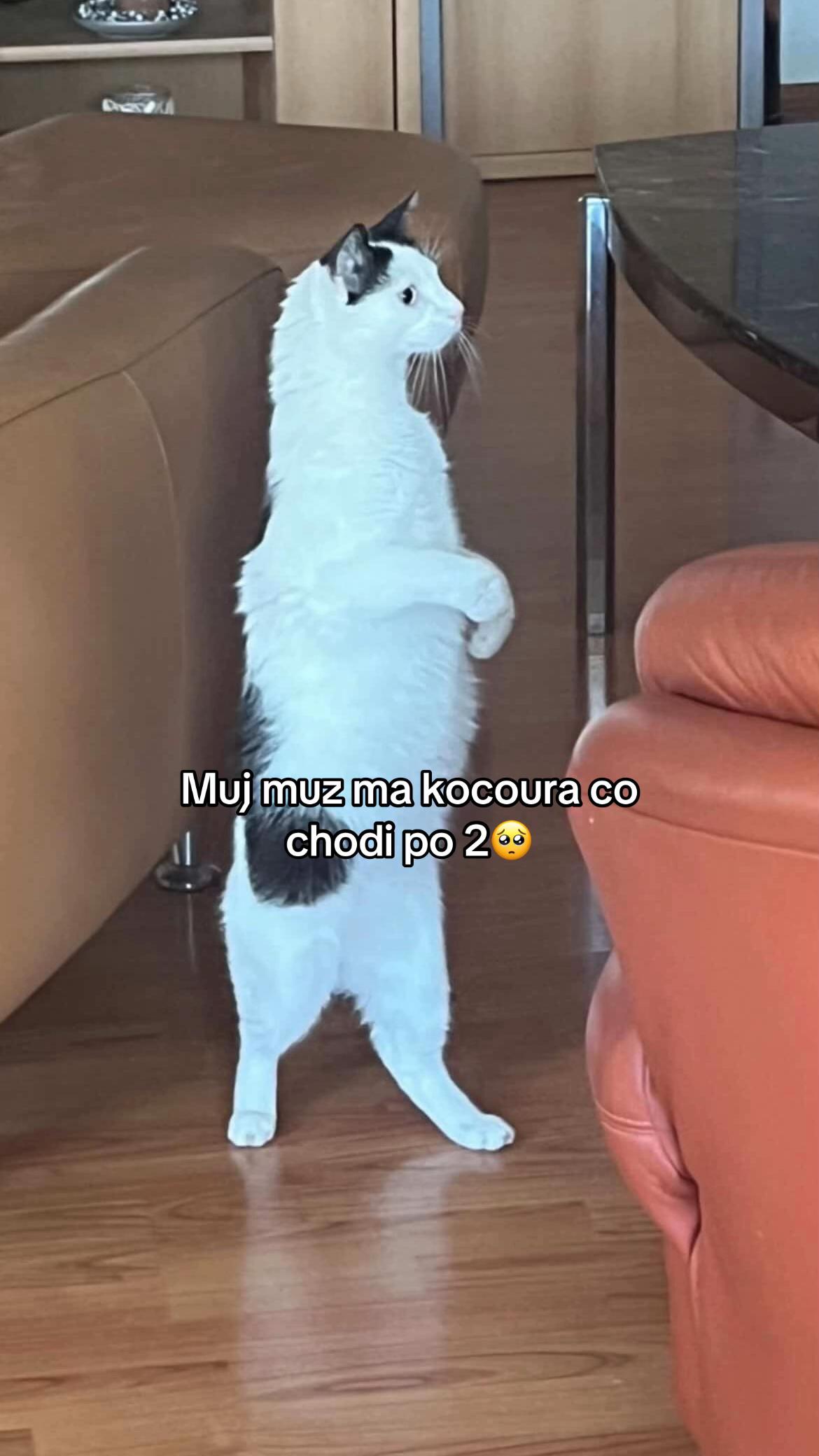 @Bůh