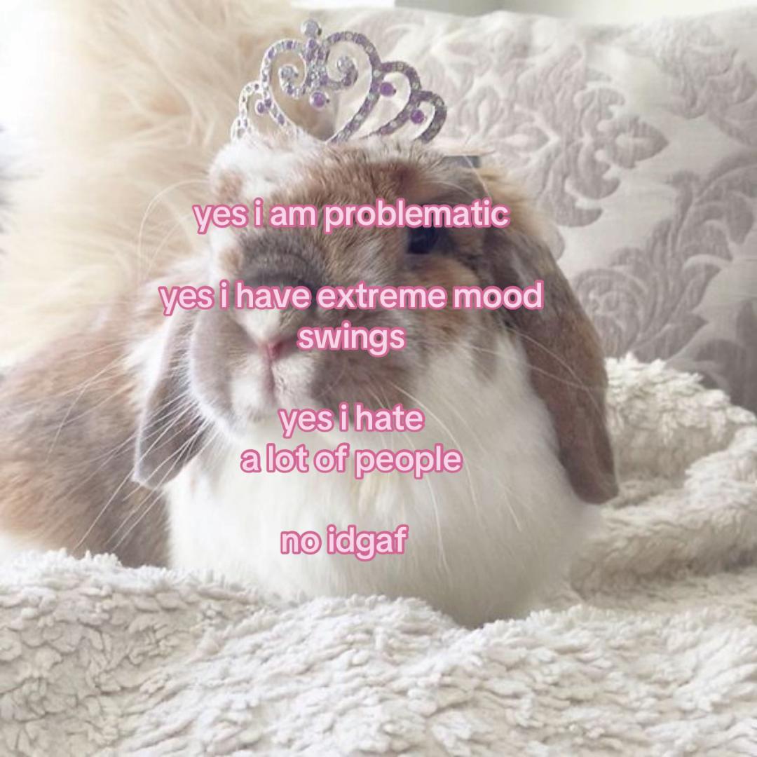 @⊹ ࣪ ˖ ໒꒱