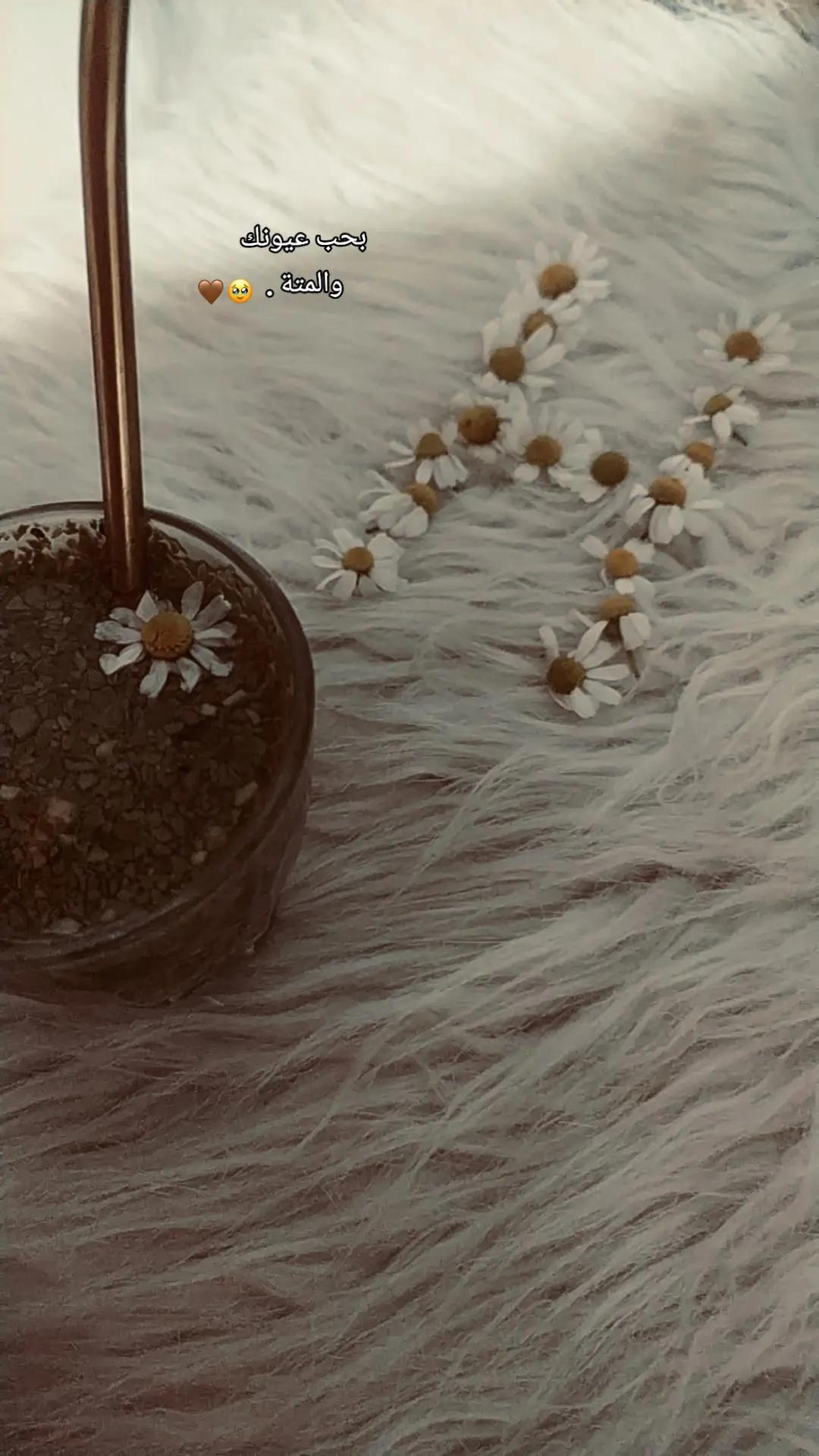 @𝐻𝑛𝑜𝑜 |🎀🧚🏼♀️
