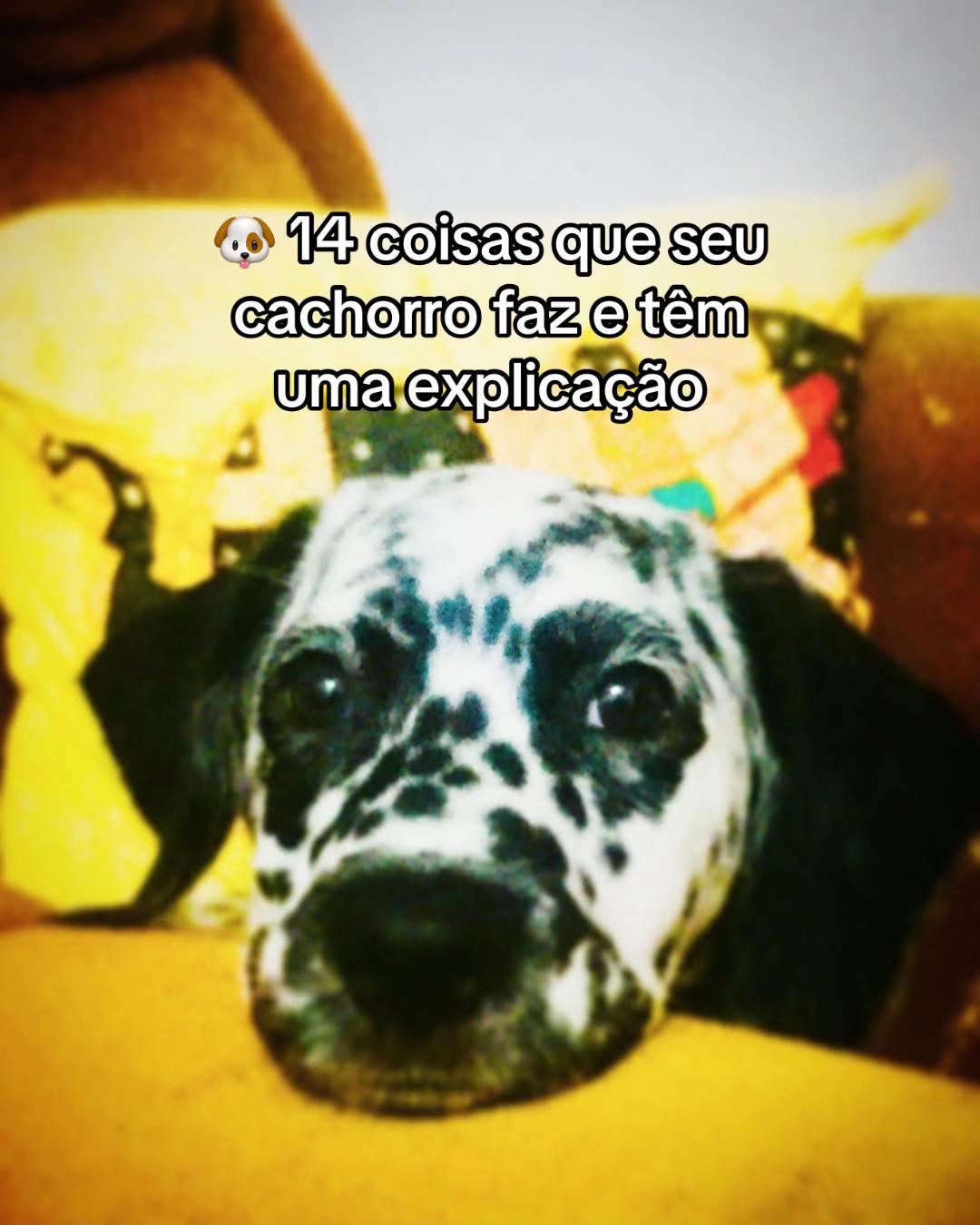 @Margô e Jude
