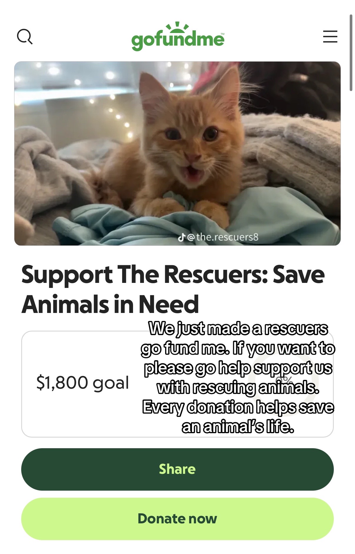 @the rescuers