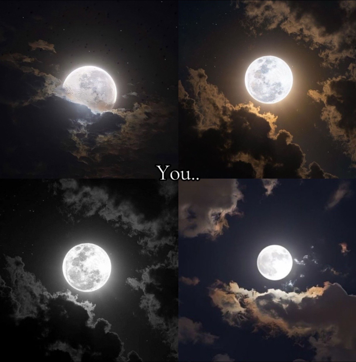 @Urlocalanime_simp~☆♡◇