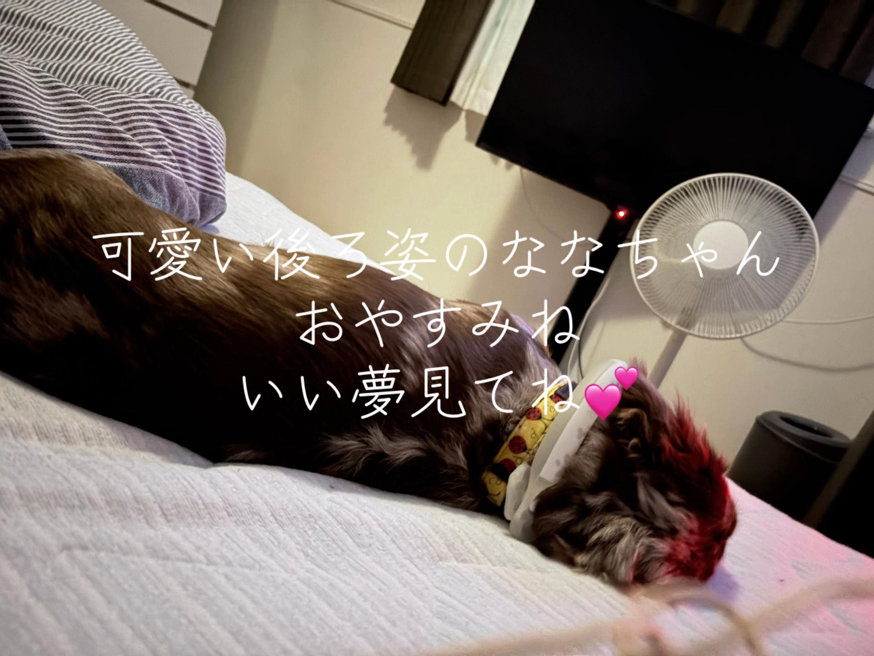 @ケン