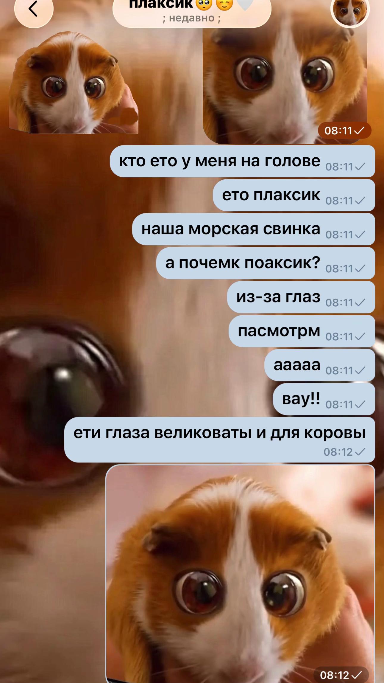 @оксикадонова#JAMAL🚭