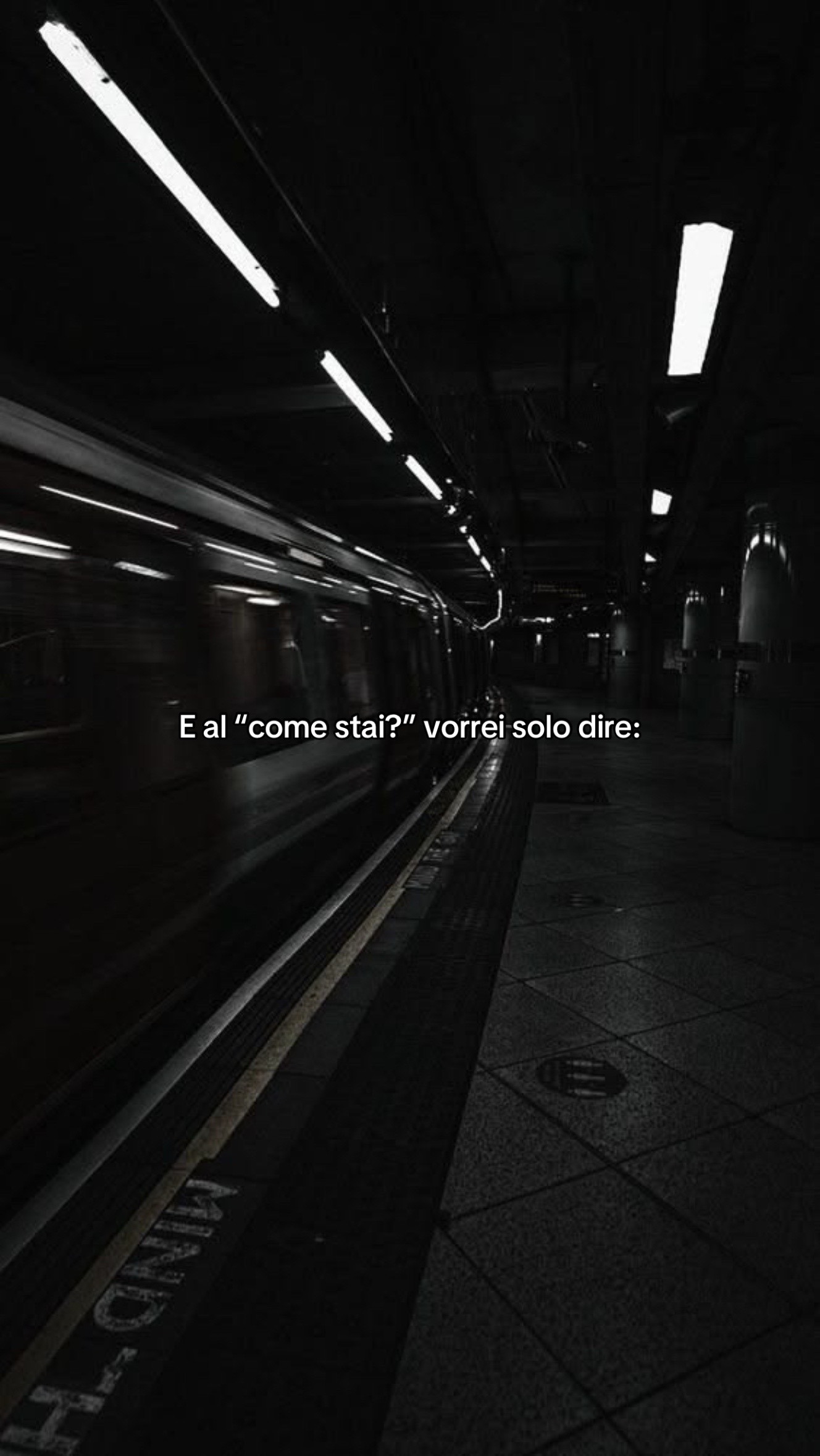 @account_sfogo