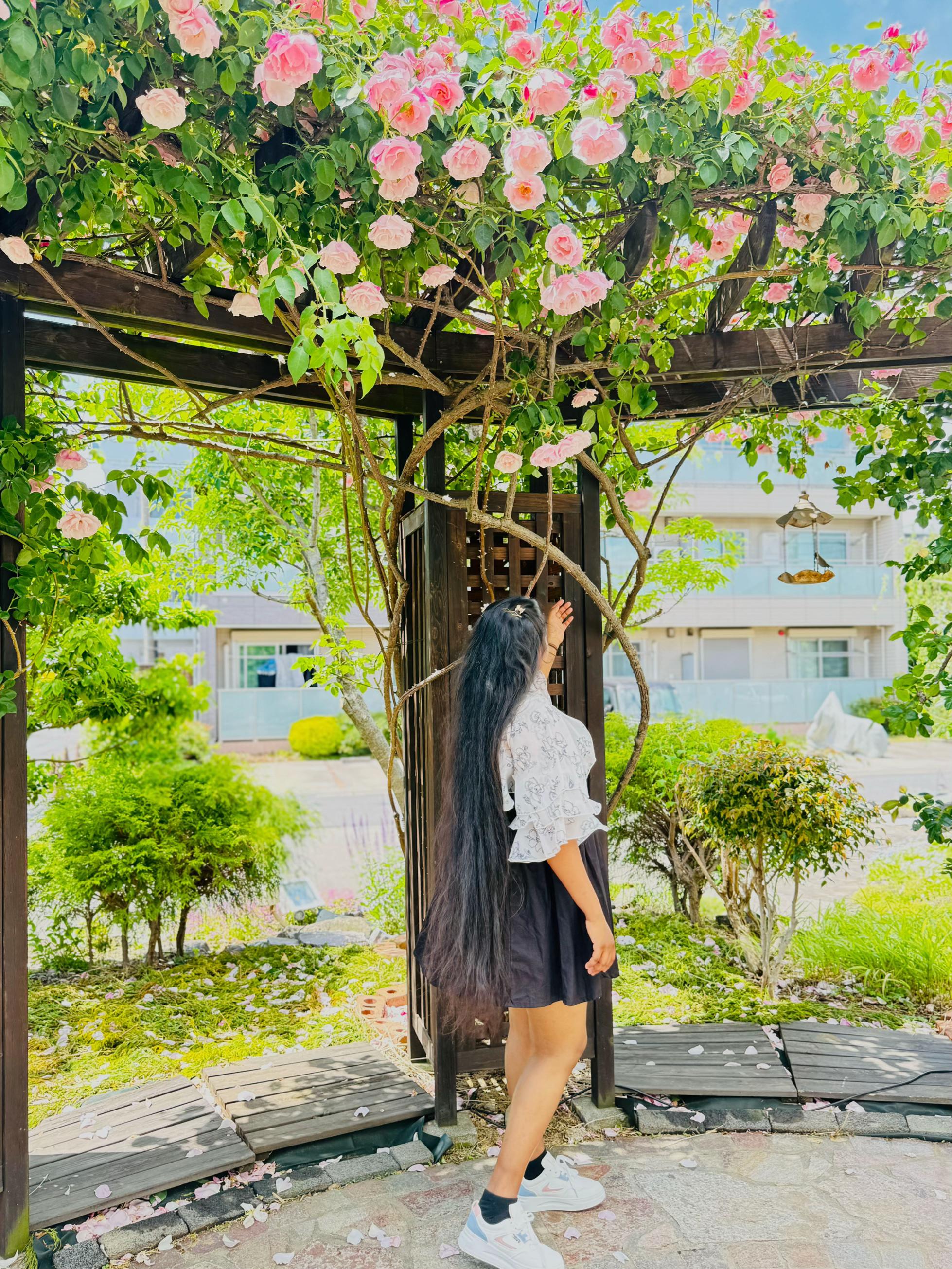 @🧿🇰🇷PASI 💞PAVi 🧿🇯🇵