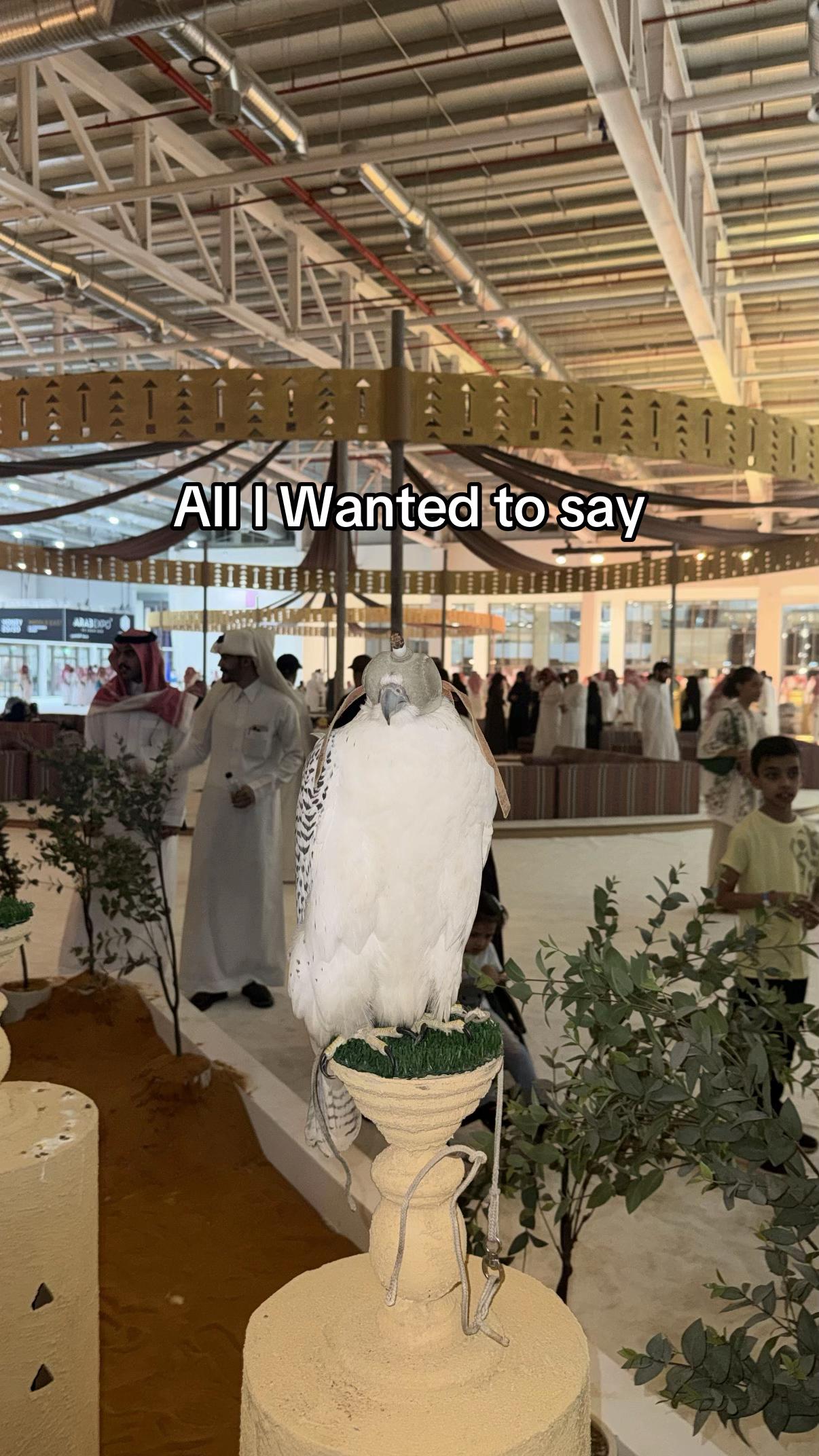 @اخو المهندس ابراهيم