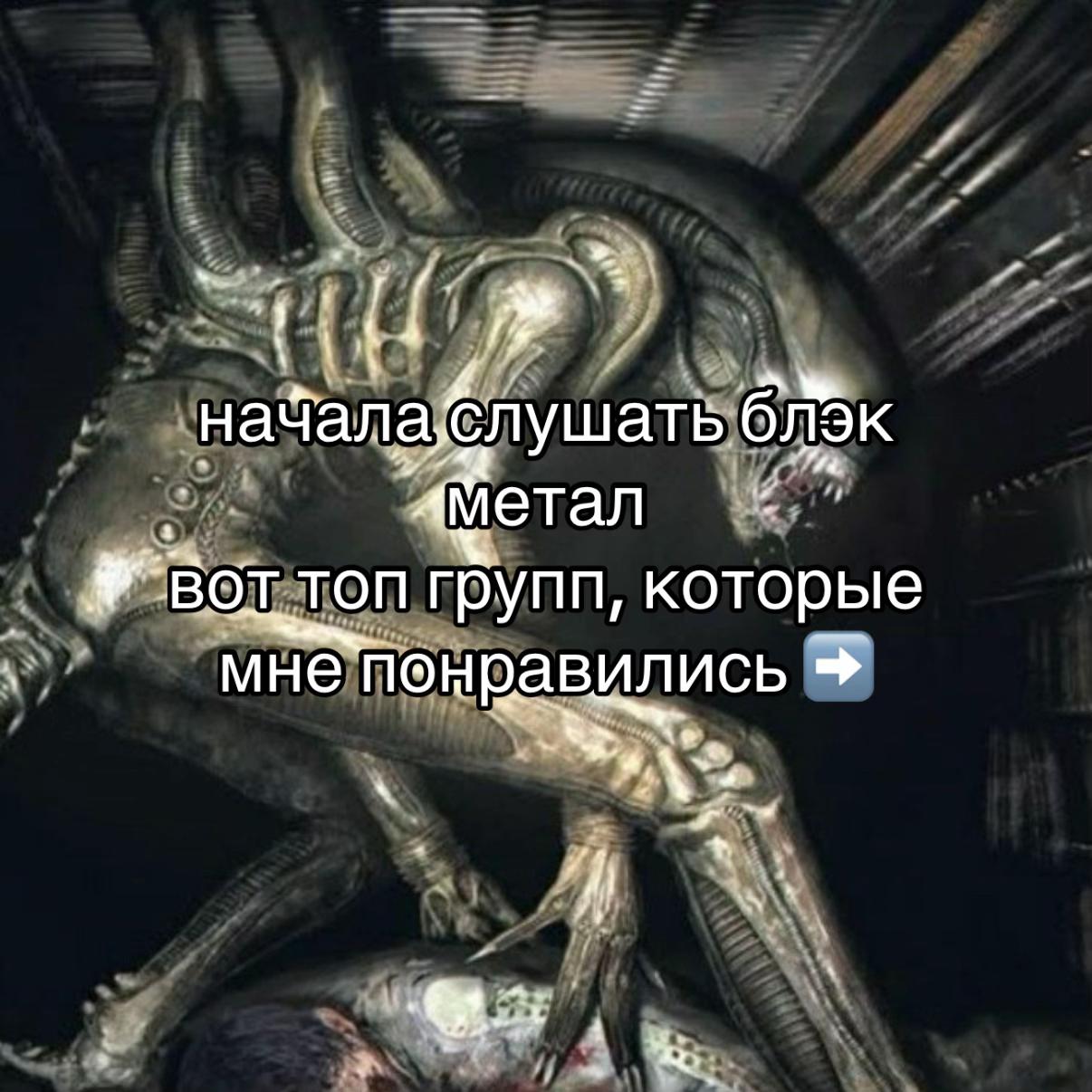 @Митяй🦇